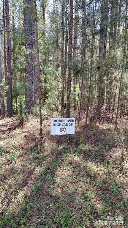 105 Cranberry Lane 80