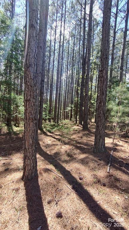 Broad River Highlands - Land