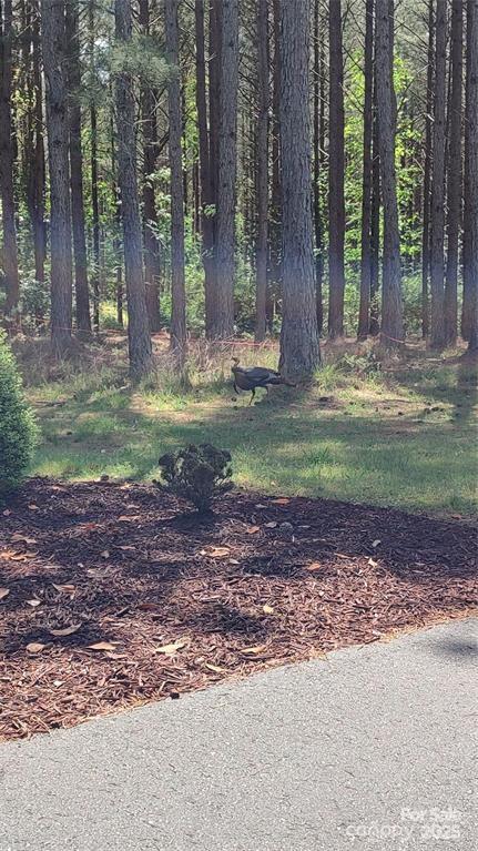 Broad River Highlands - Land