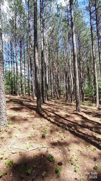 Broad River Highlands - Land