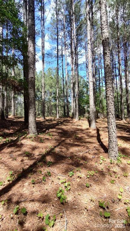 Broad River Highlands - Land