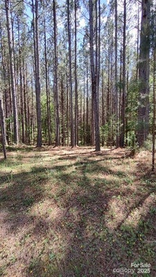 105 CRANBERRY LN # 80, MOORESBORO, NC 28114 - Image ffedb6a0cedbcae22849869c9e4cb329/797001267