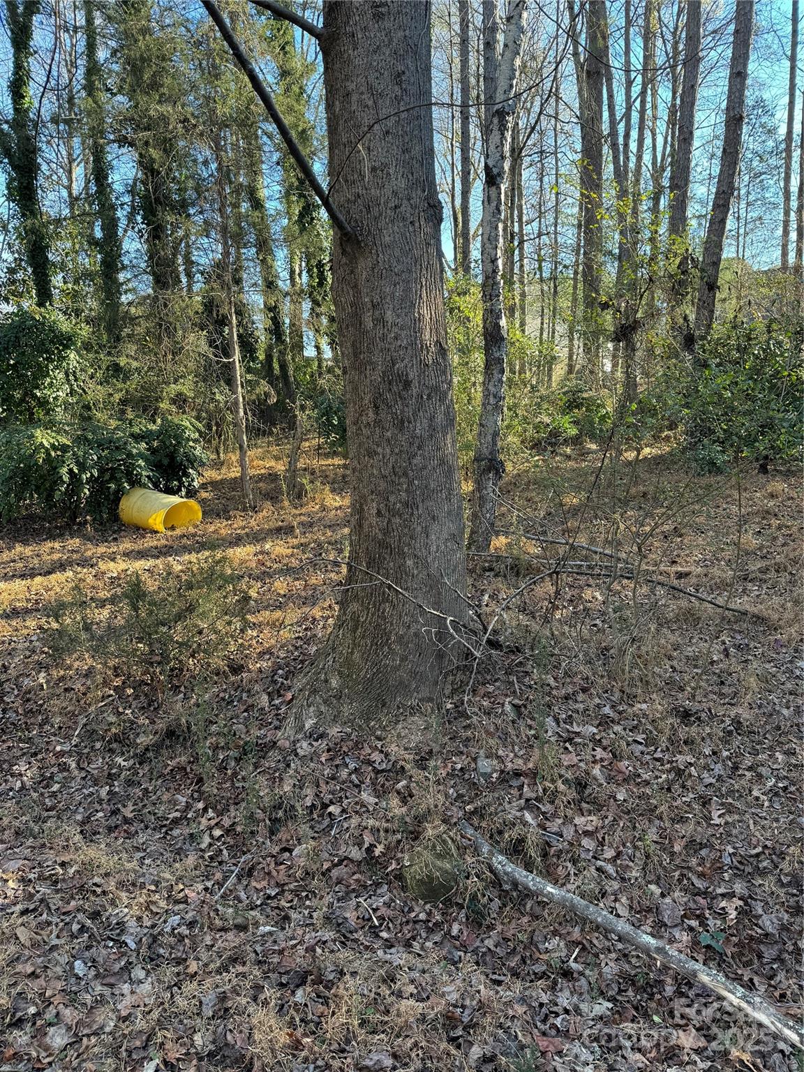 0000 Dogwood Lane LOTS 4/5