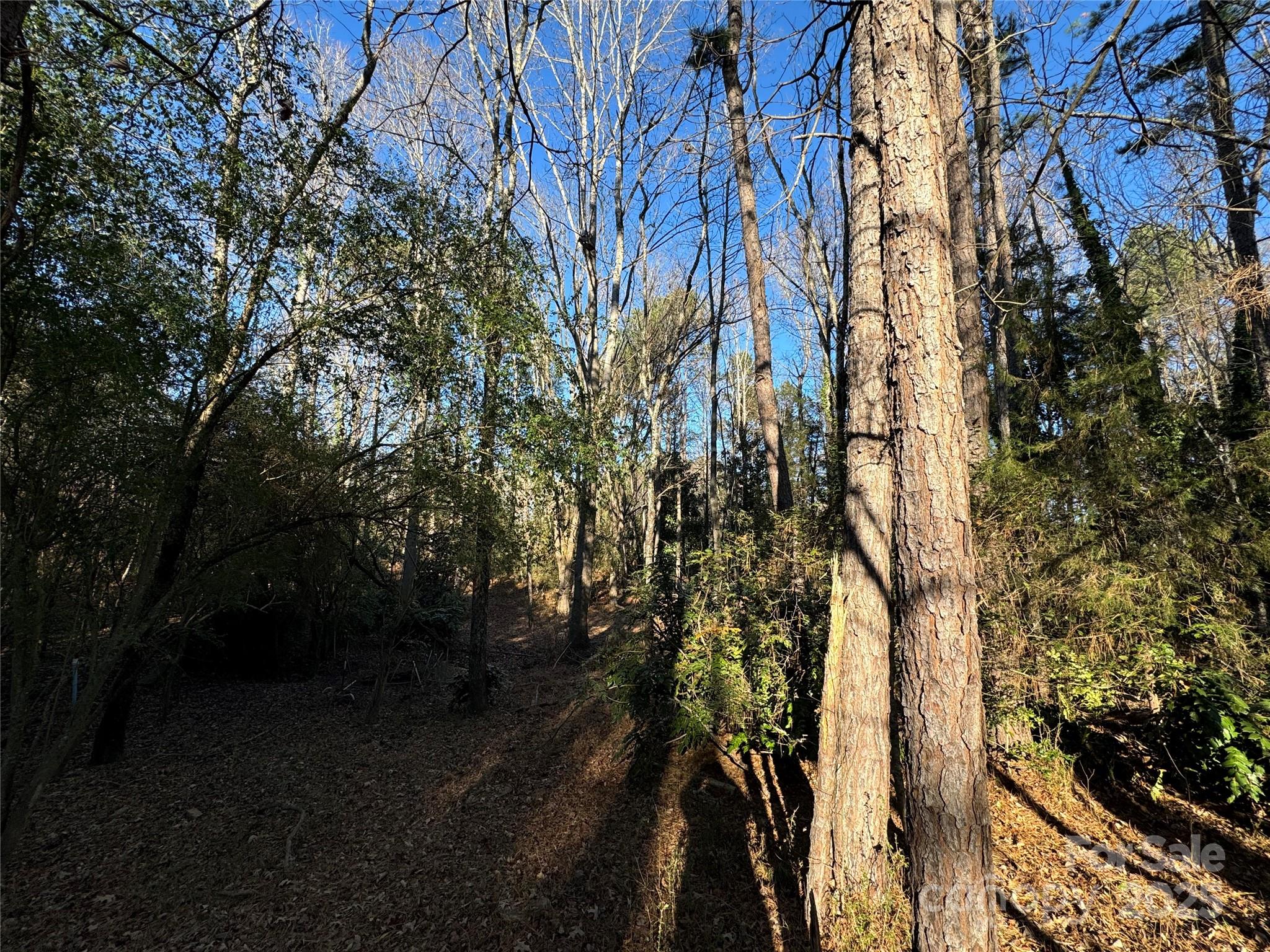 0000 Dogwood Lane LOTS 4/5