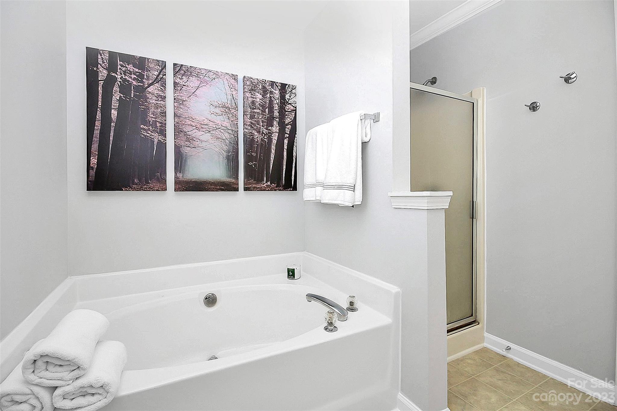 Curtis Pond - Residential