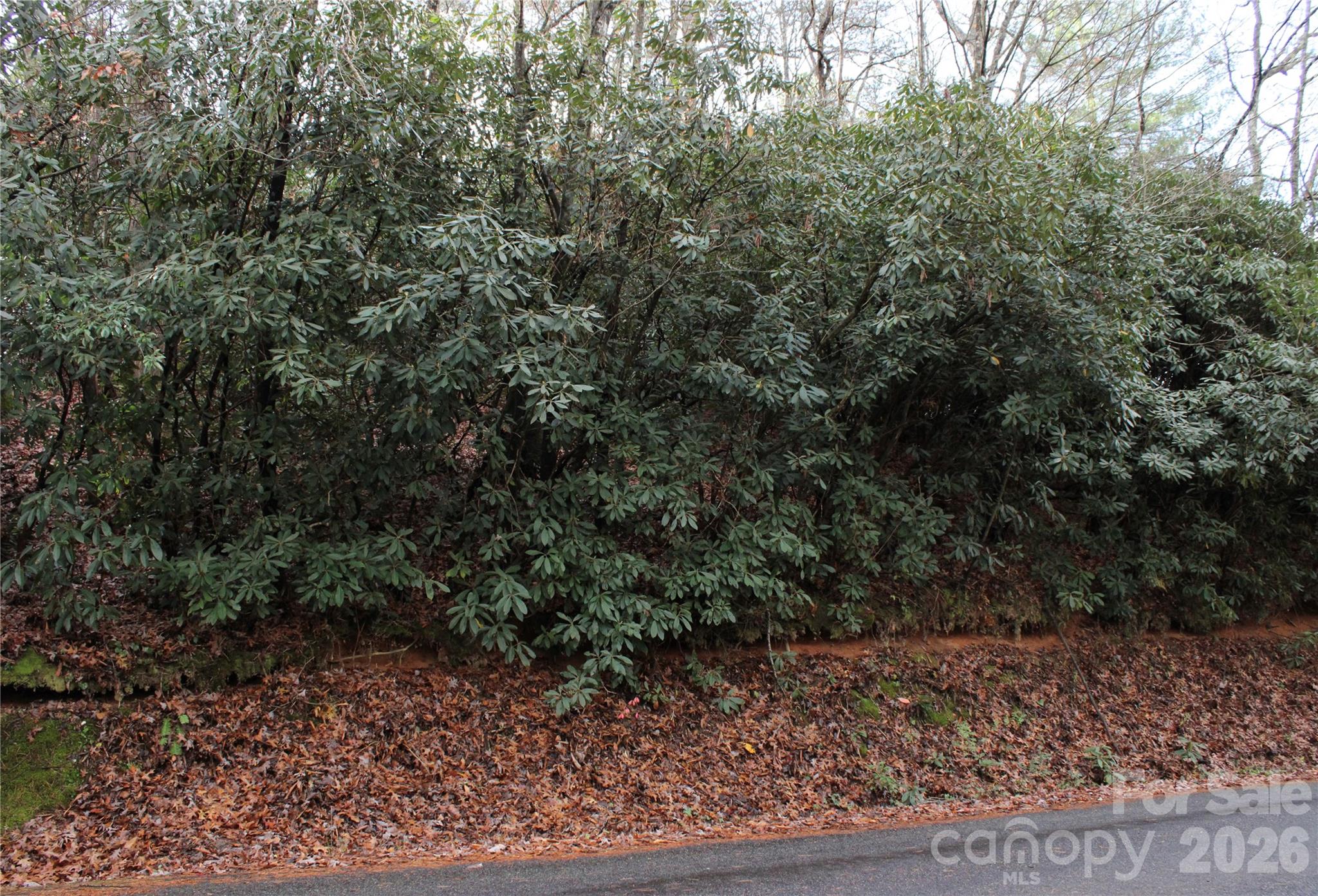 TBD Stamey Creek Road