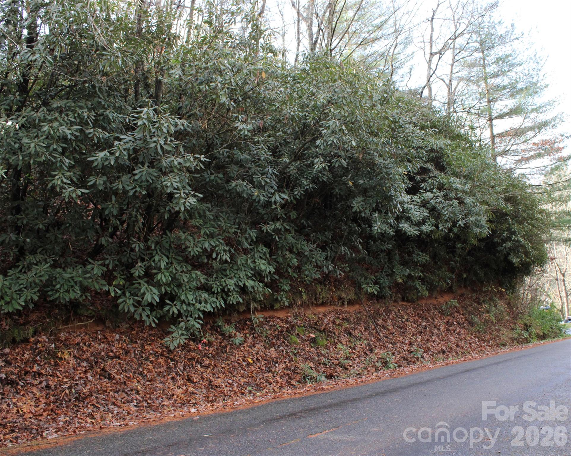 TBD Stamey Creek Road