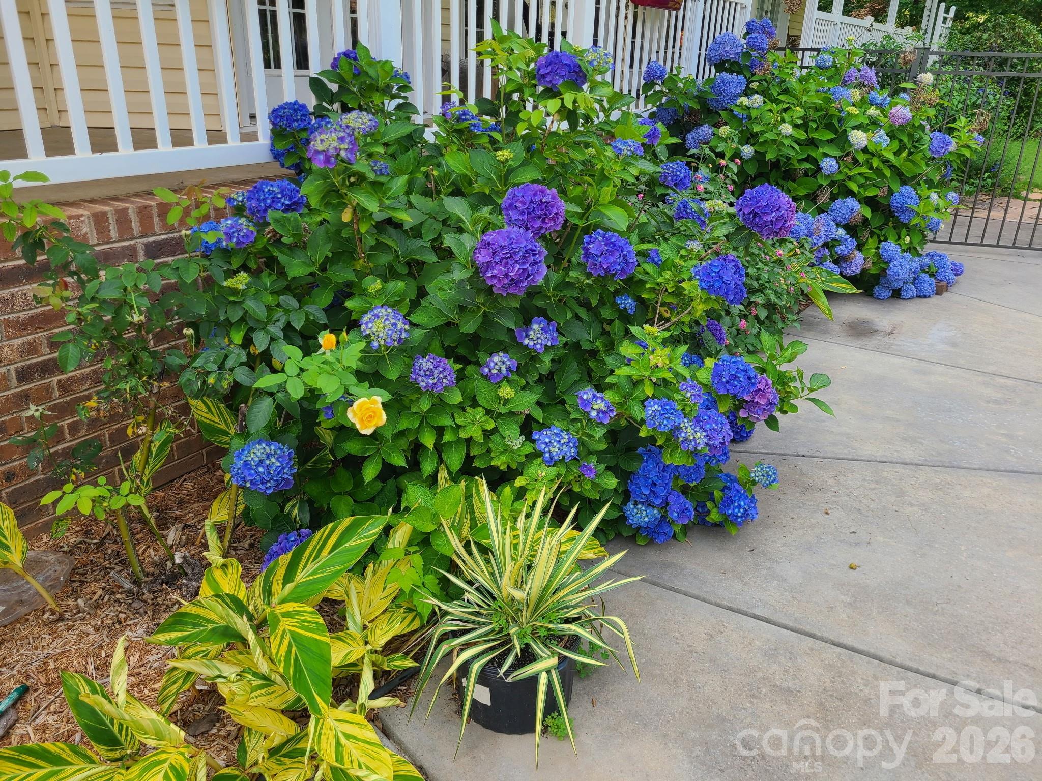 Derby Downs - Residential