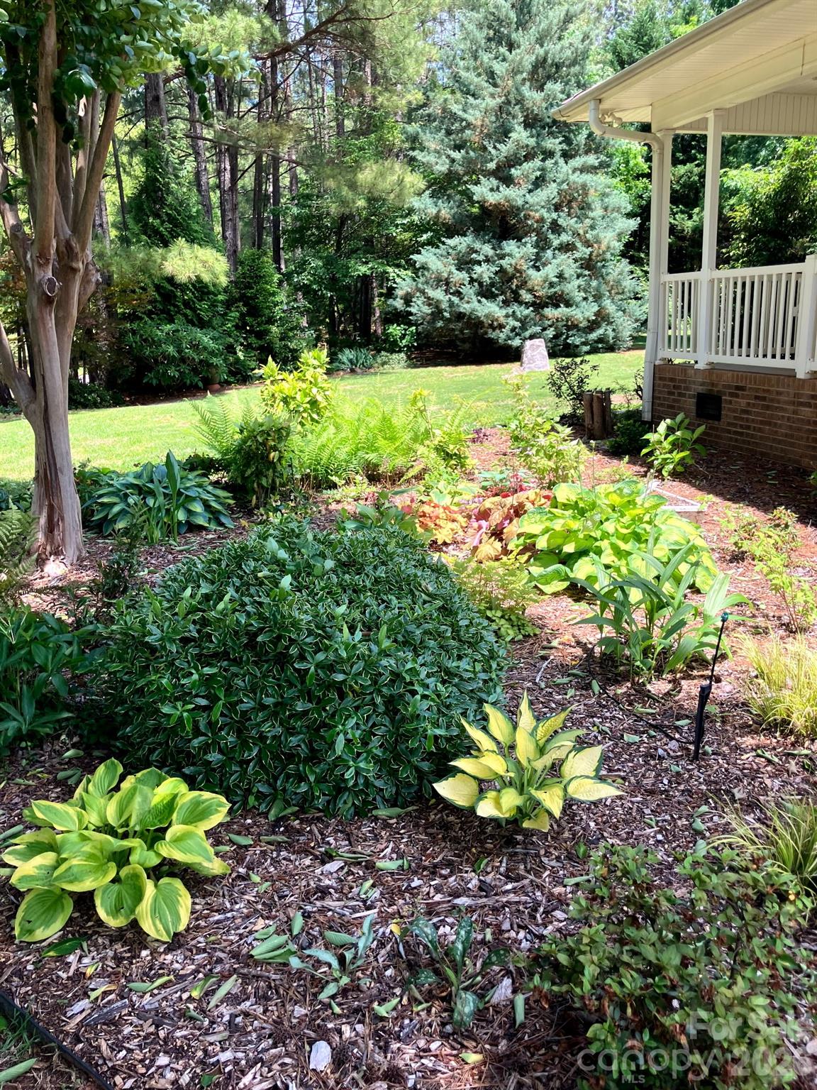 Derby Downs - Residential