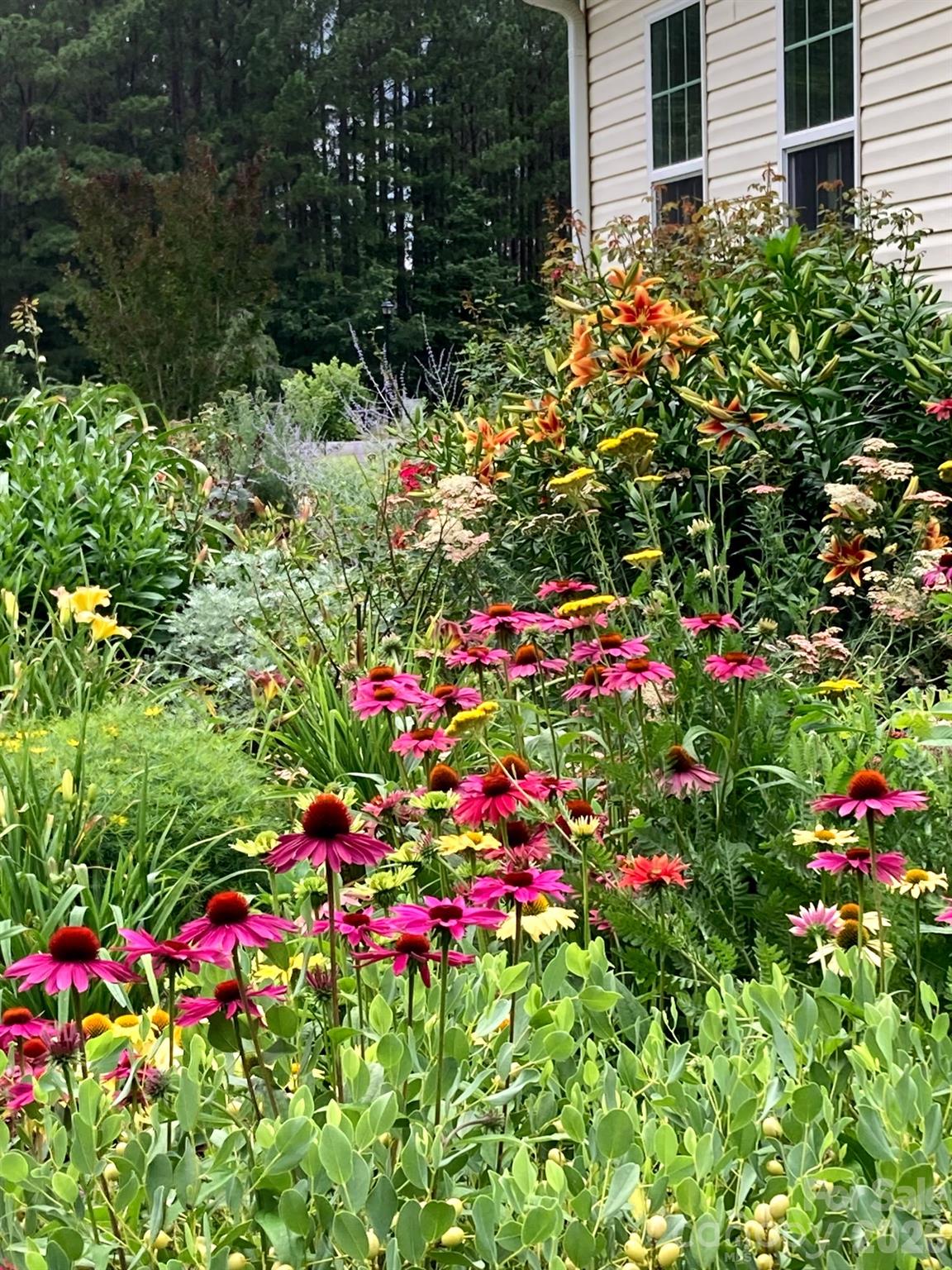 Derby Downs - Residential