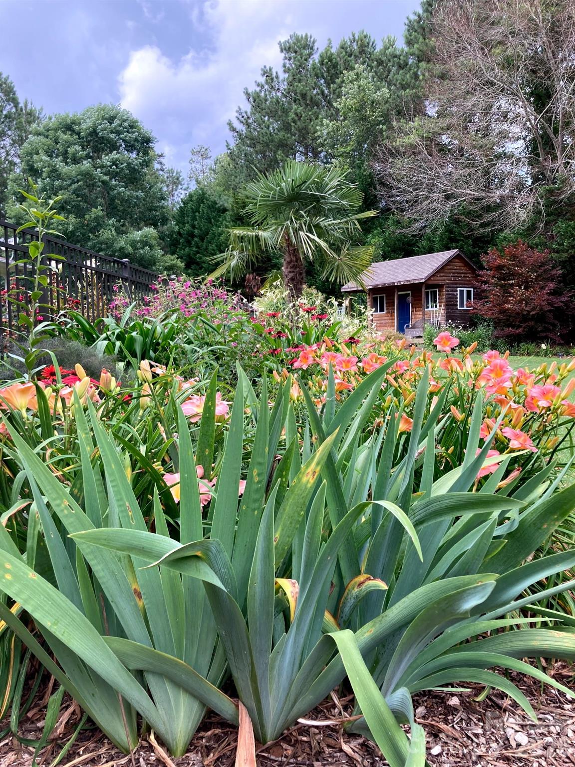 Derby Downs - Residential