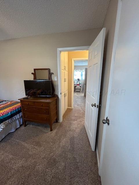 1902 Palo Duro Drive, Memphis, Alaska image 19