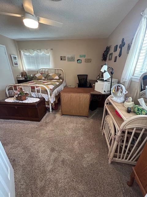 1902 Palo Duro Drive, Memphis, Alaska image 23