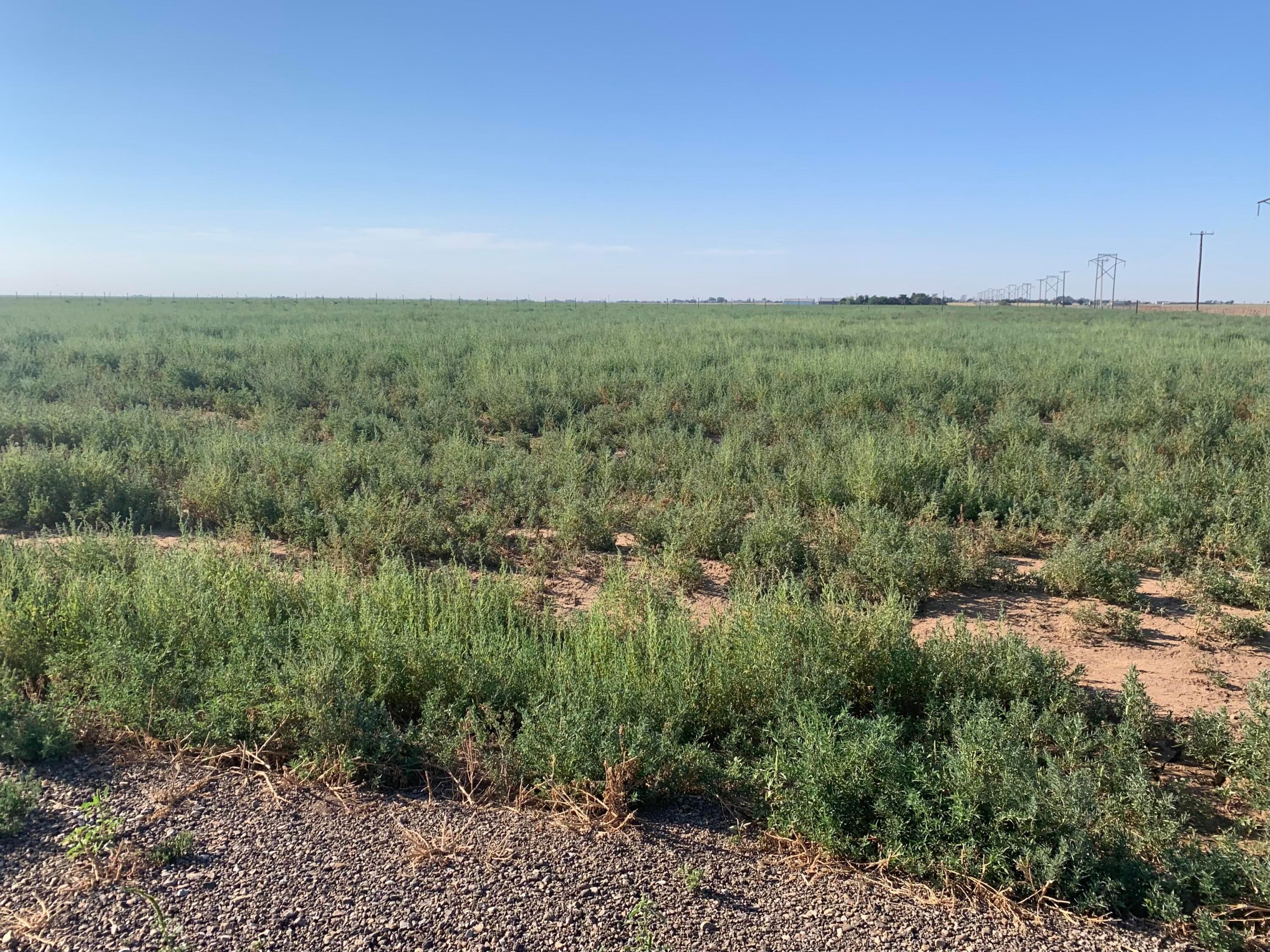 BT18 Sawyer Road, Bushland, Texas image 8