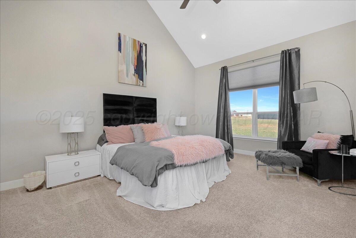 13710 Lobelia Place, Amarillo, Idaho image 16