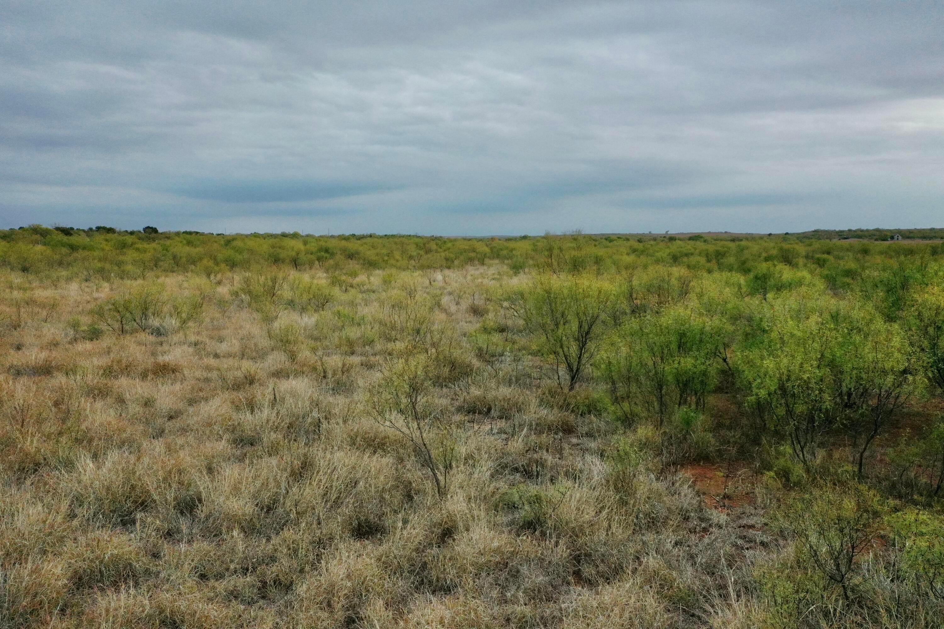 Cr H, Estelline, Texas image 7