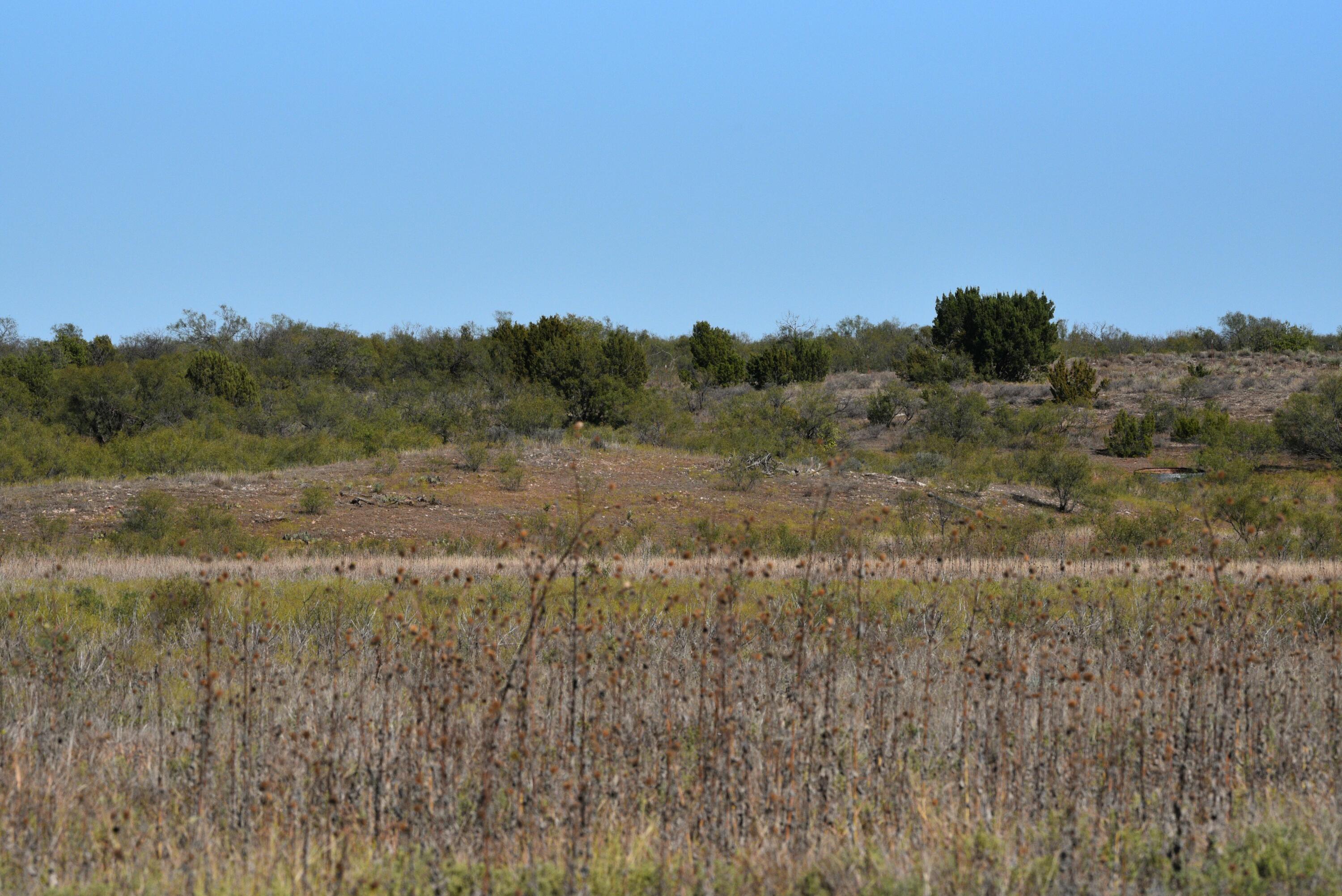 Cr H, Estelline, Texas image 17