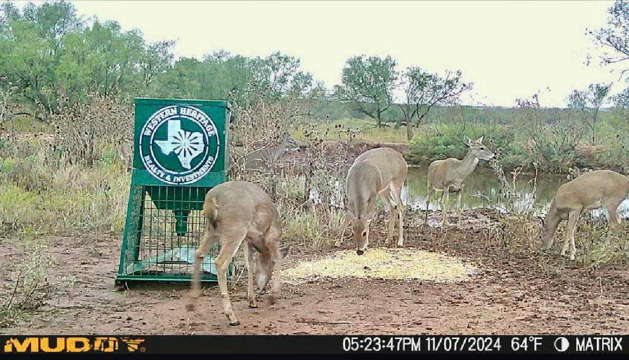 Cr H, Estelline, Texas image 42