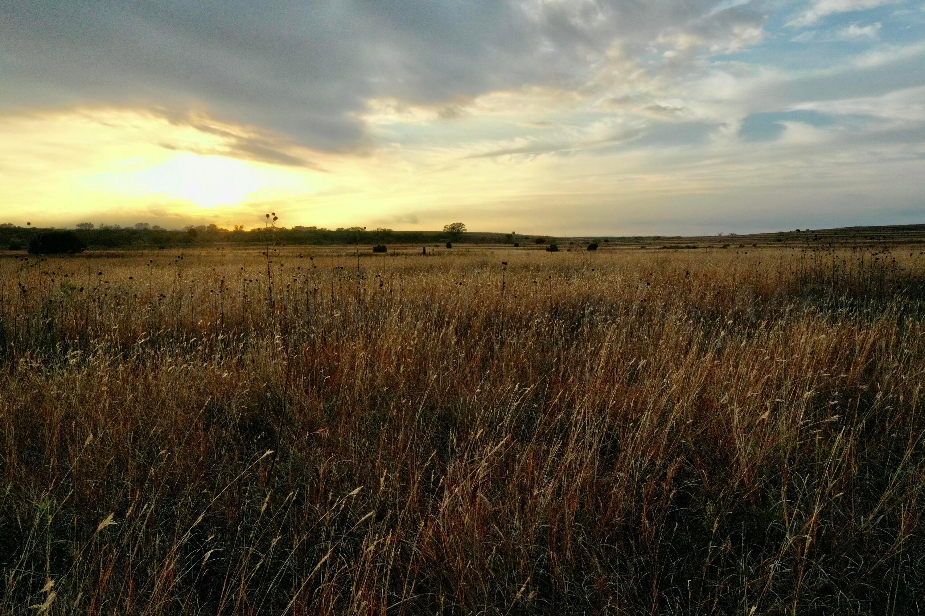 Cr H, Estelline, Texas image 15