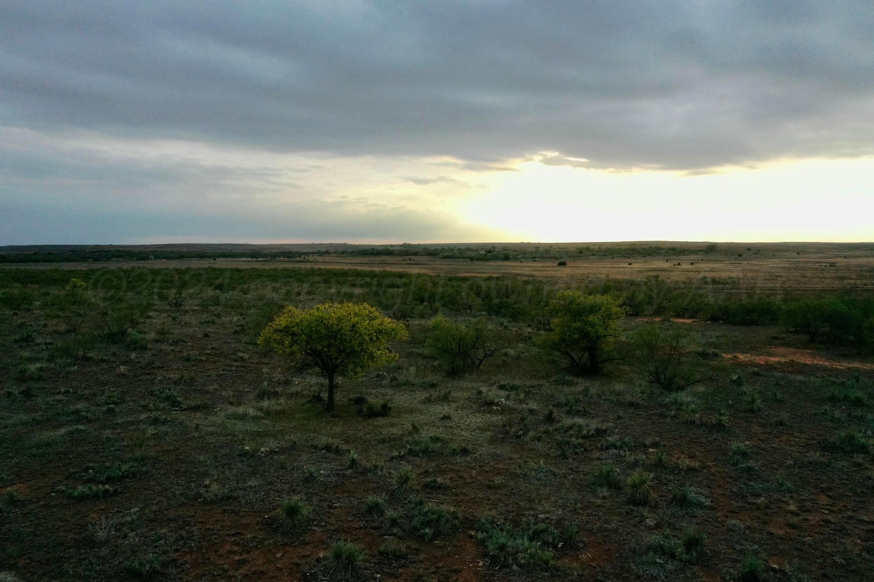 Cr H, Estelline, Texas image 6