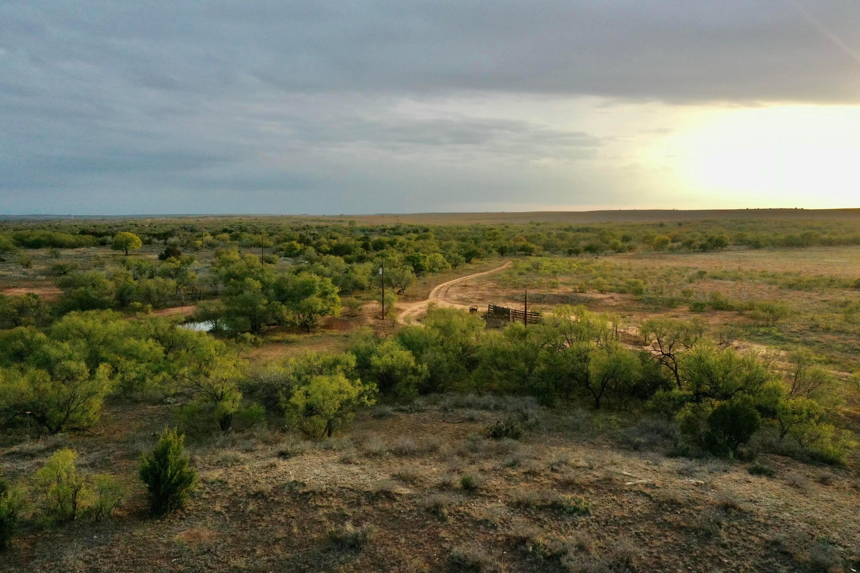 Cr H, Estelline, Texas image 10