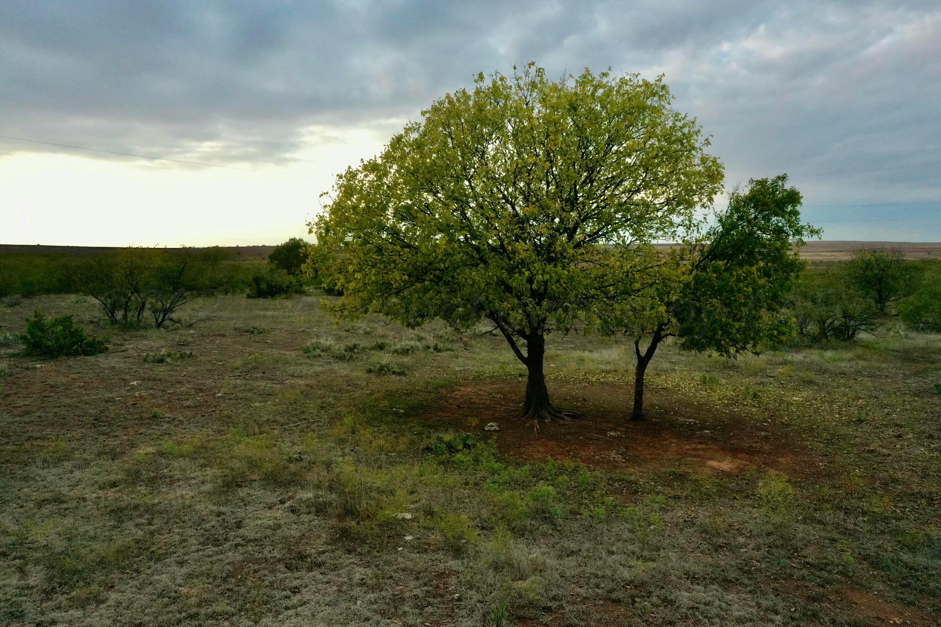 Cr H, Estelline, Texas image 4