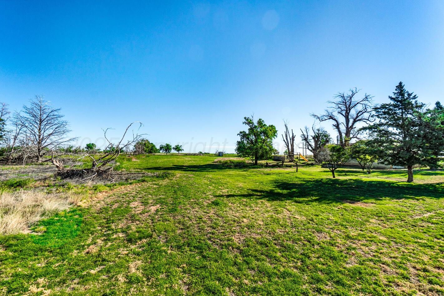 2723 County Road O Drive #39, Friona, Idaho image 34