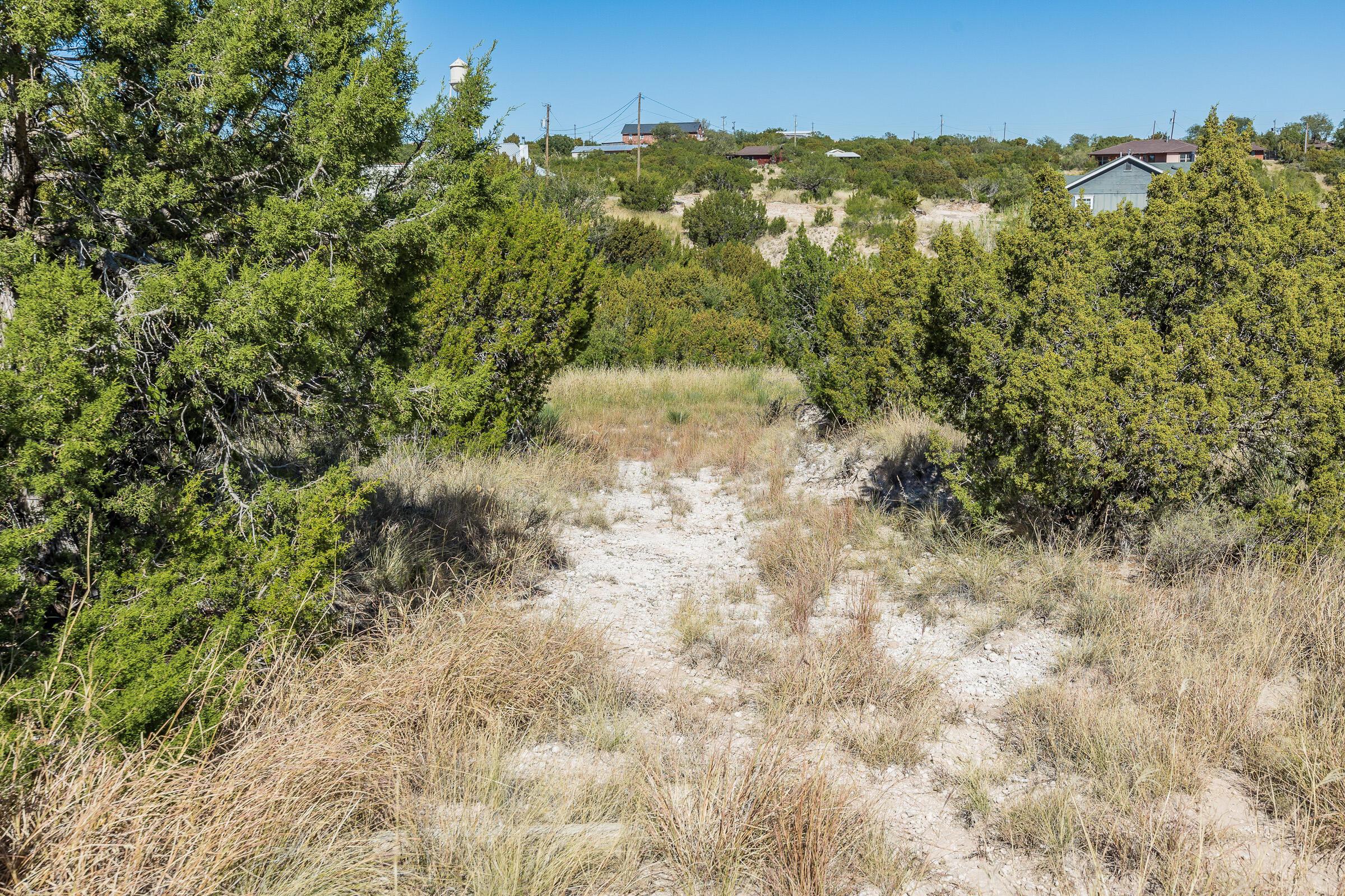 Valleyview Drive, Canyon, Idaho image 10