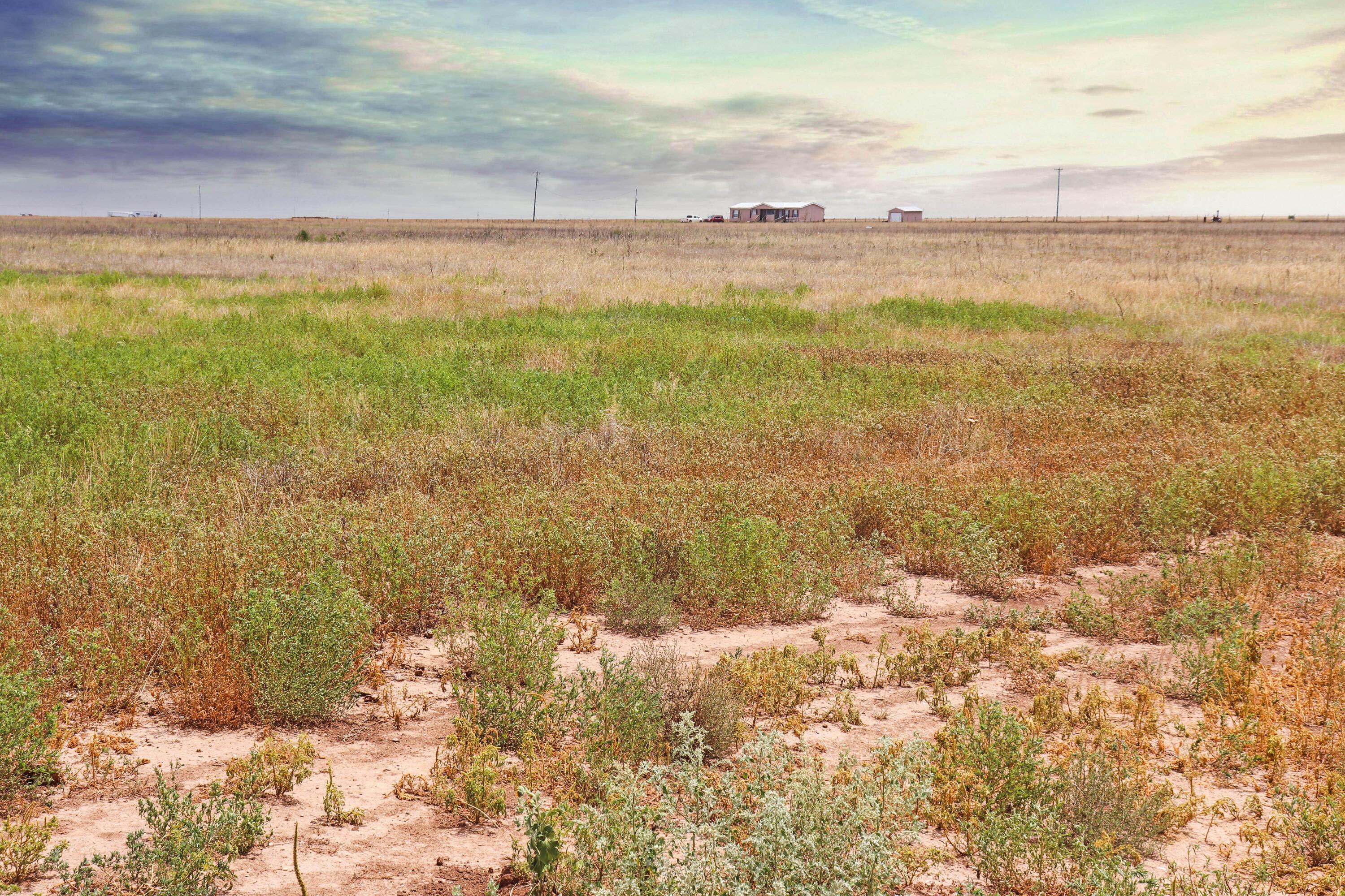 Tract 3 Fm 2587, Wildorado, Texas image 10