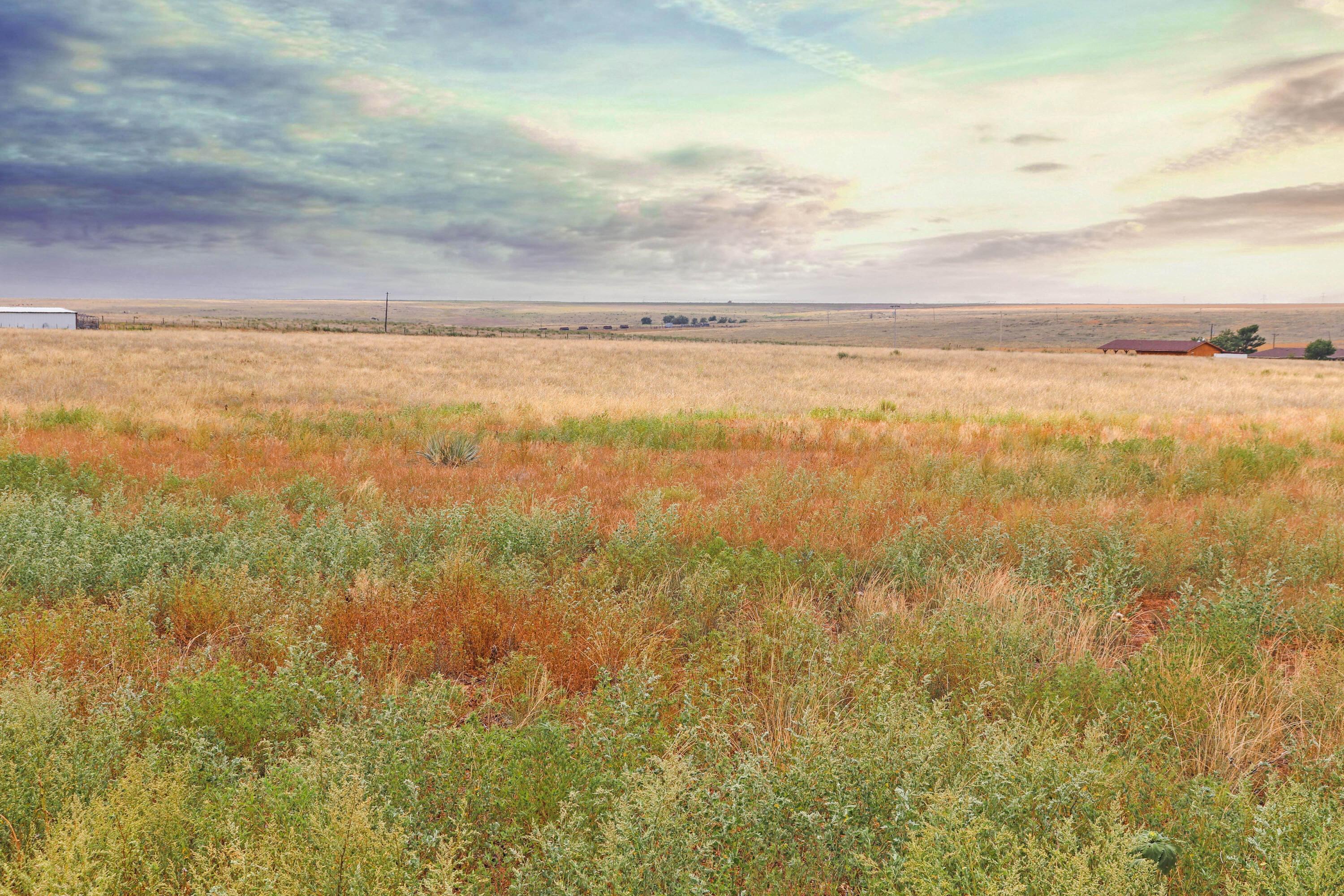 Tract 3 Fm 2587, Wildorado, Texas image 14