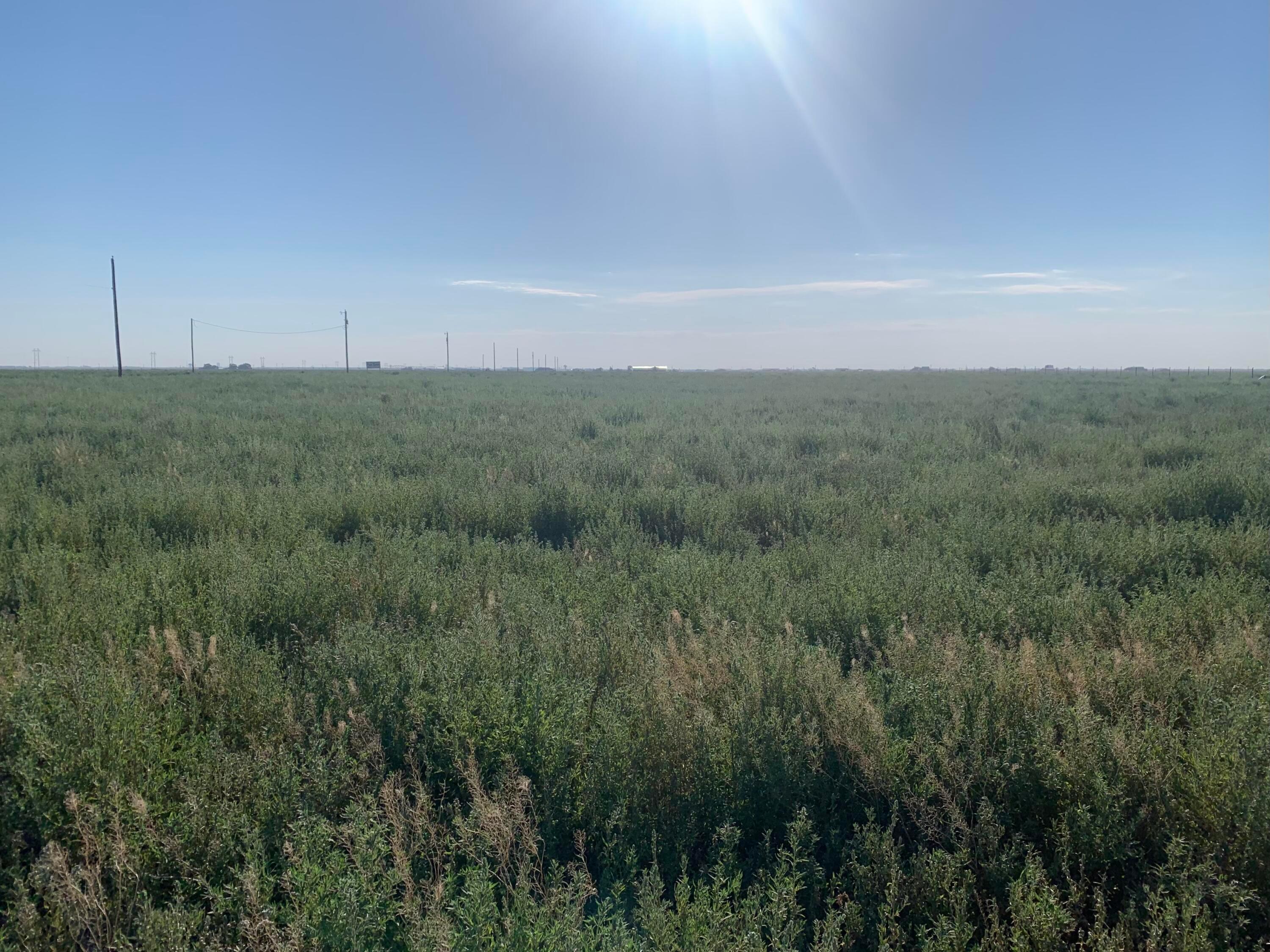 BT18 N Sawyer Road, Bushland, Idaho image 10