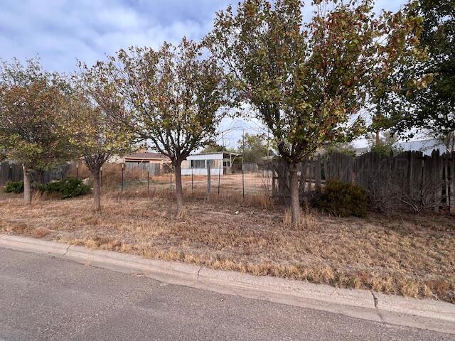 918 SW 22nd Avenue, Perryton, Texas image 1