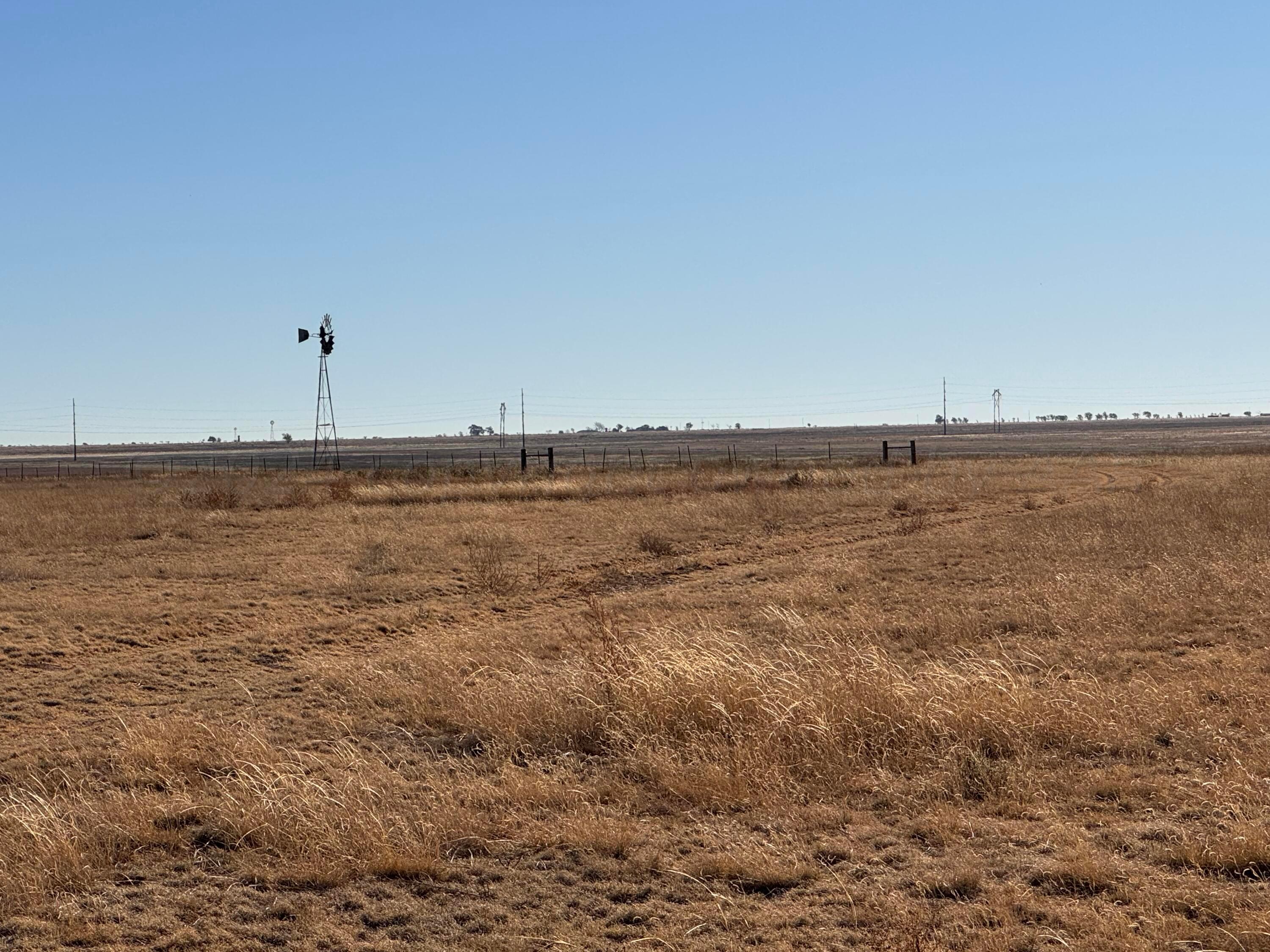 S Osage-fm 217, Amarillo, Texas image 5