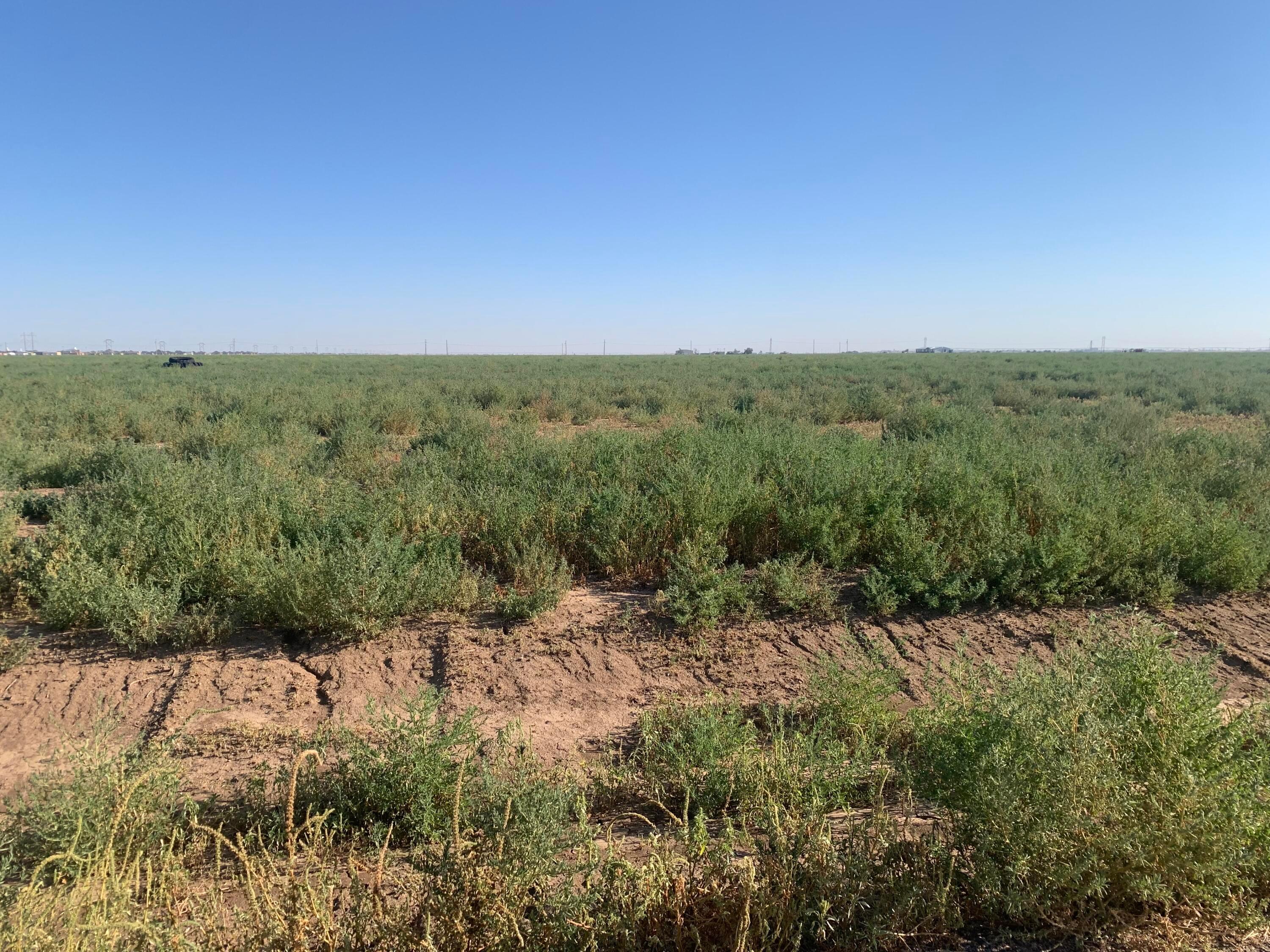BT29 E Sawyer Road, Bushland, Idaho image 7