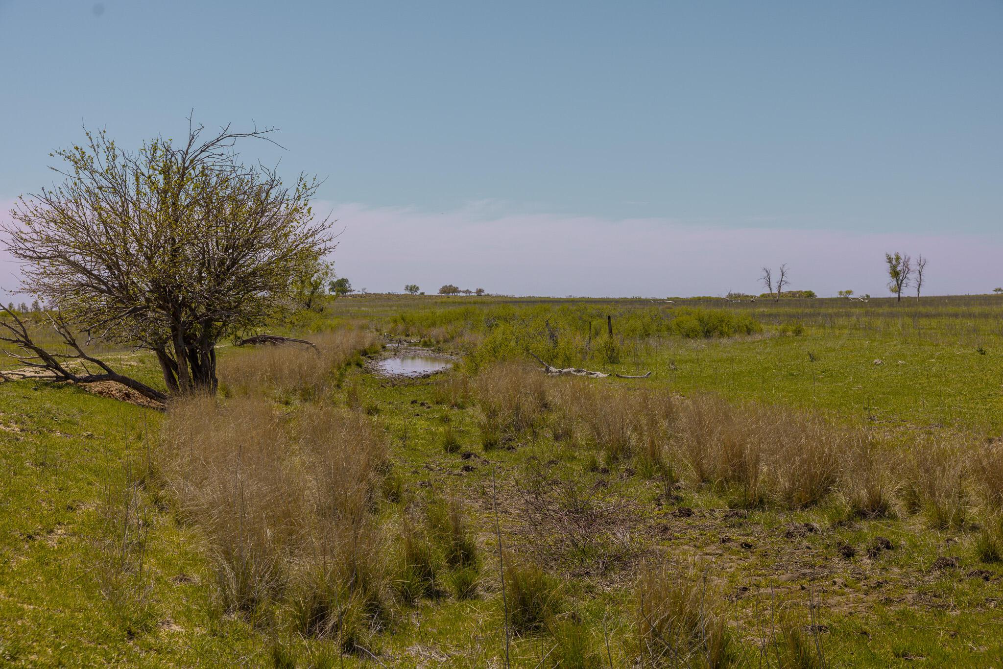 Terry Place, Shamrock, Texas image 3