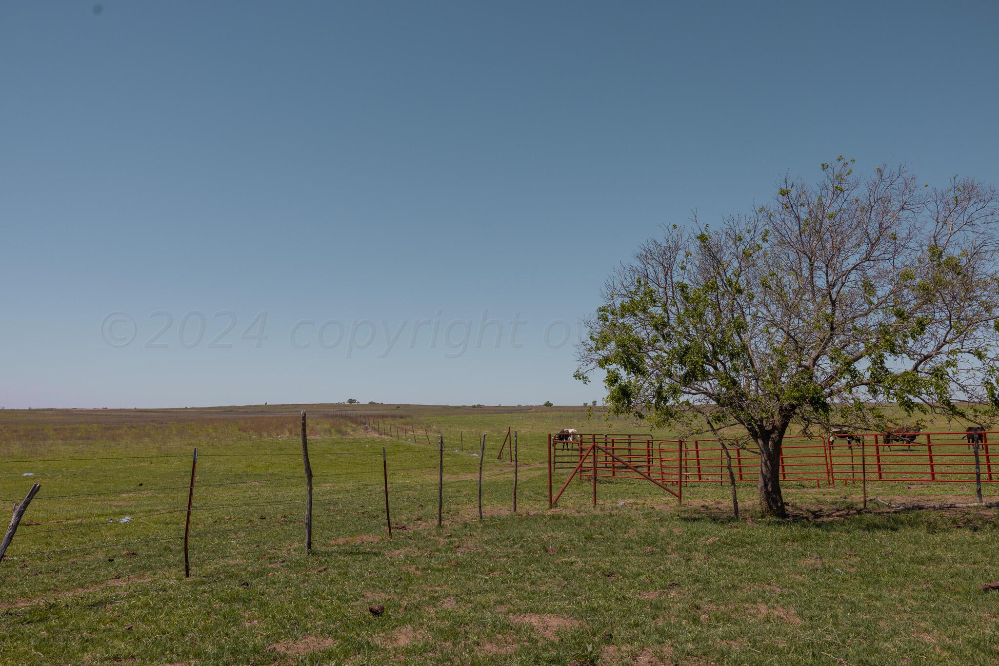 Terry Place, Shamrock, Texas image 5