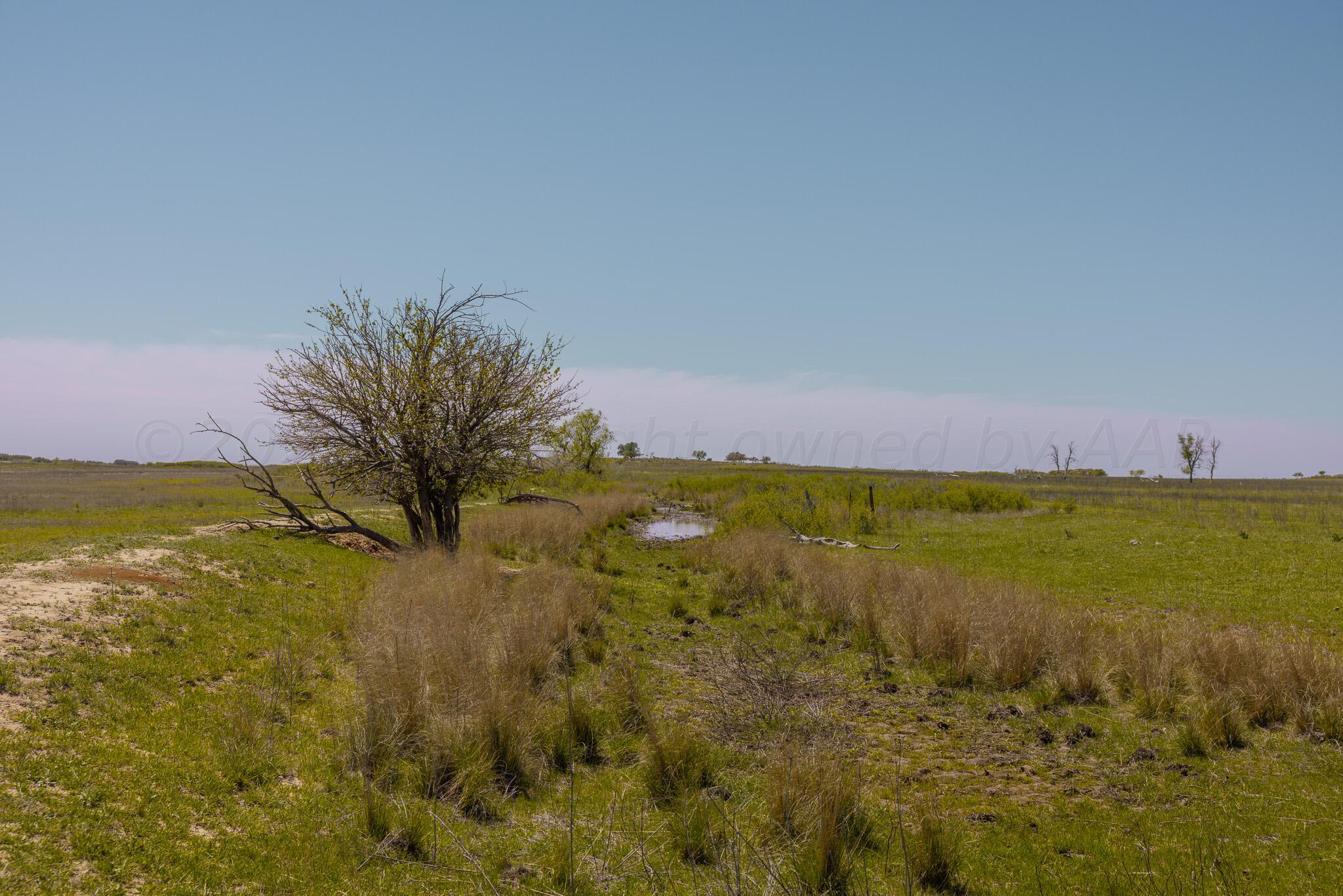 Terry Place, Shamrock, Texas image 2