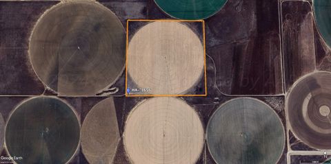 Vacant Land For Sale - Farm<br/> Hartley, TX 79022