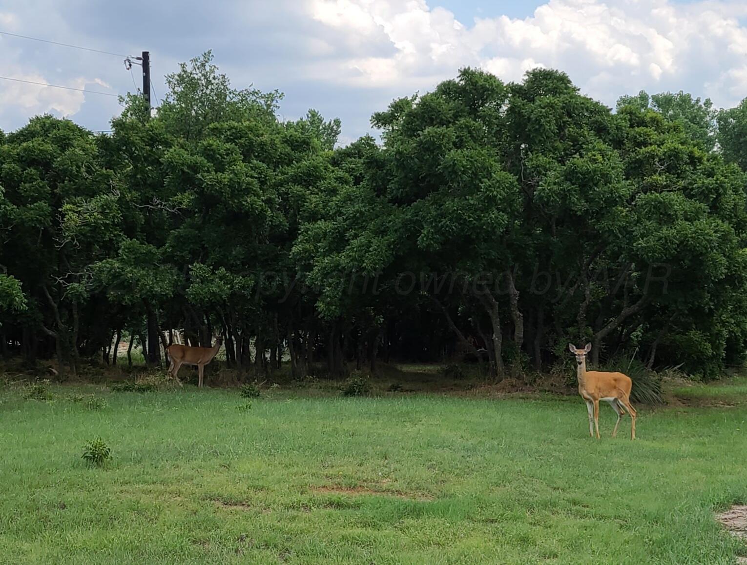 378 Sharon Drive, Howardwick, Texas image 3