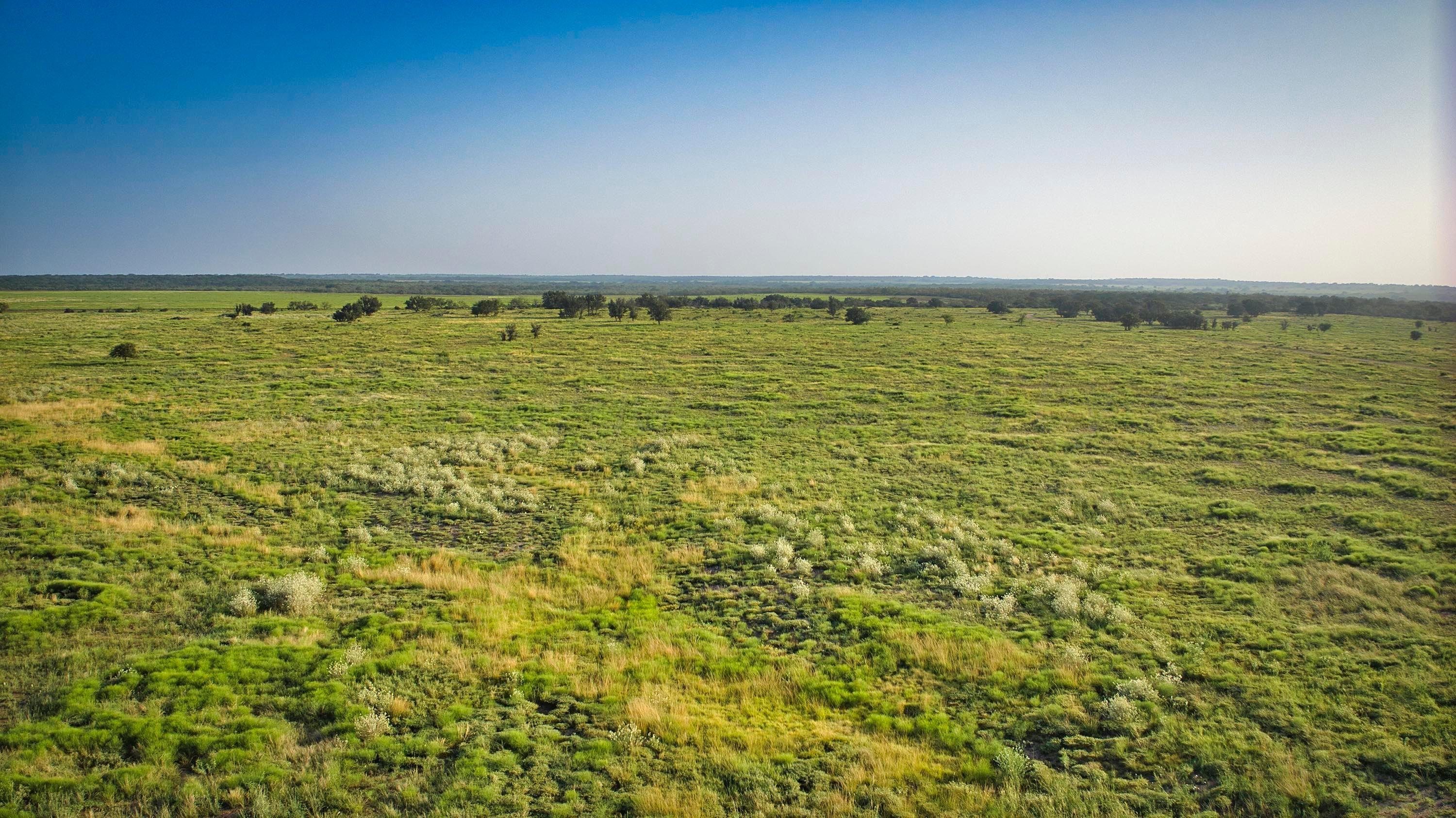 706 San Saba River Ranch St, Other - Not in list, Alaska image 33