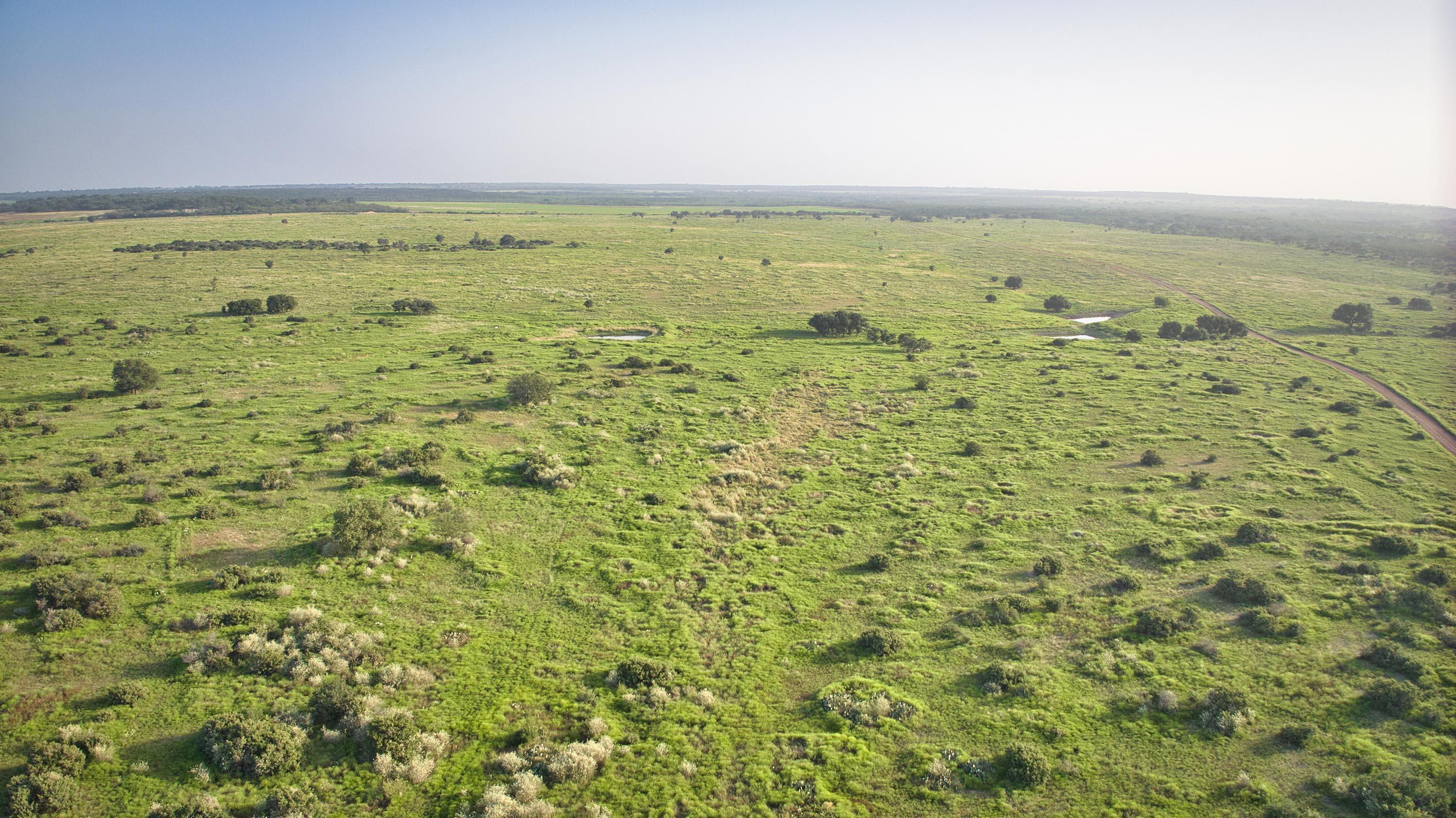 706 San Saba River Ranch St, Other - Not in list, Alaska image 27
