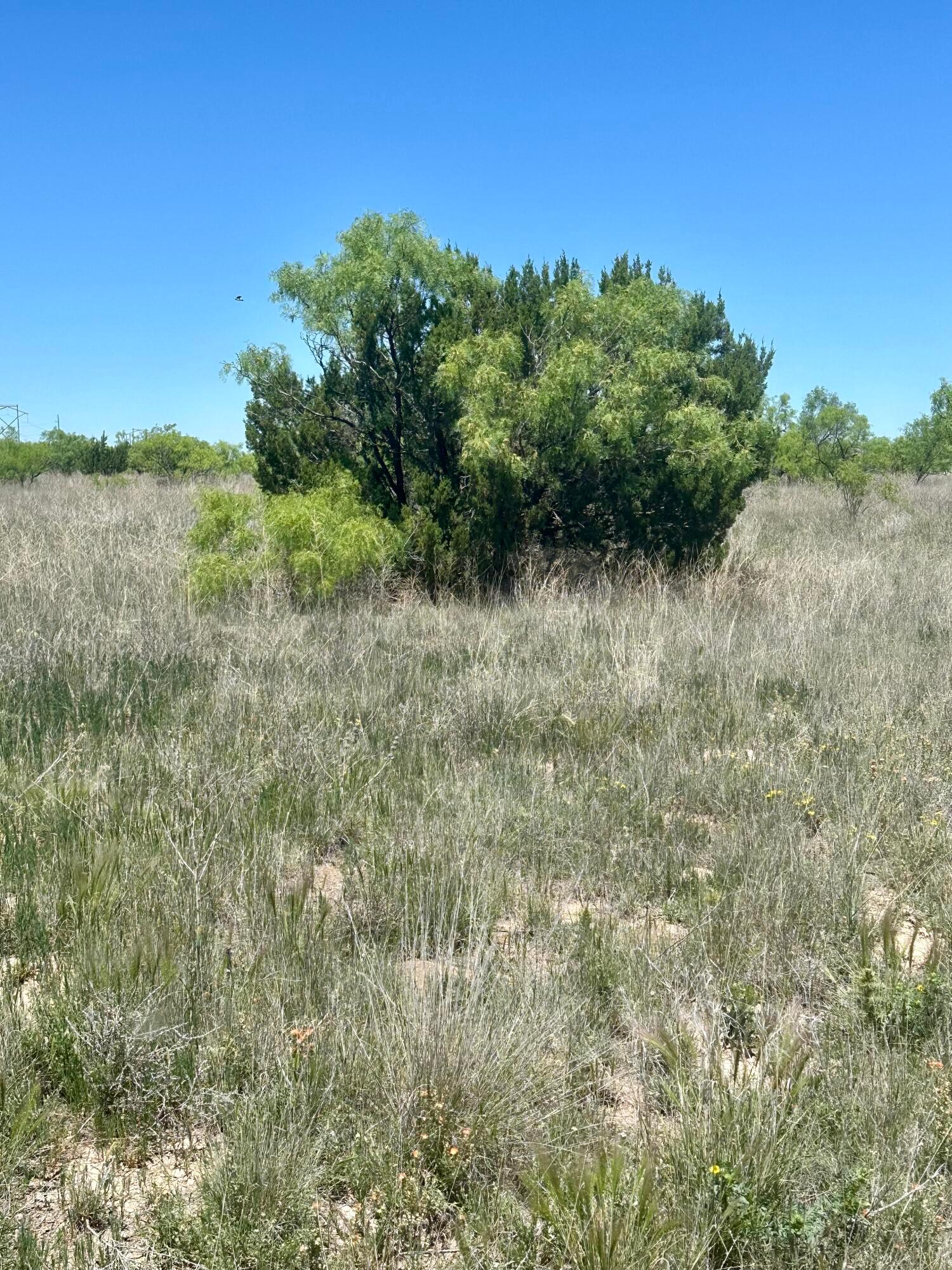 710 Canyon Parkway, Canyon, Texas image 4