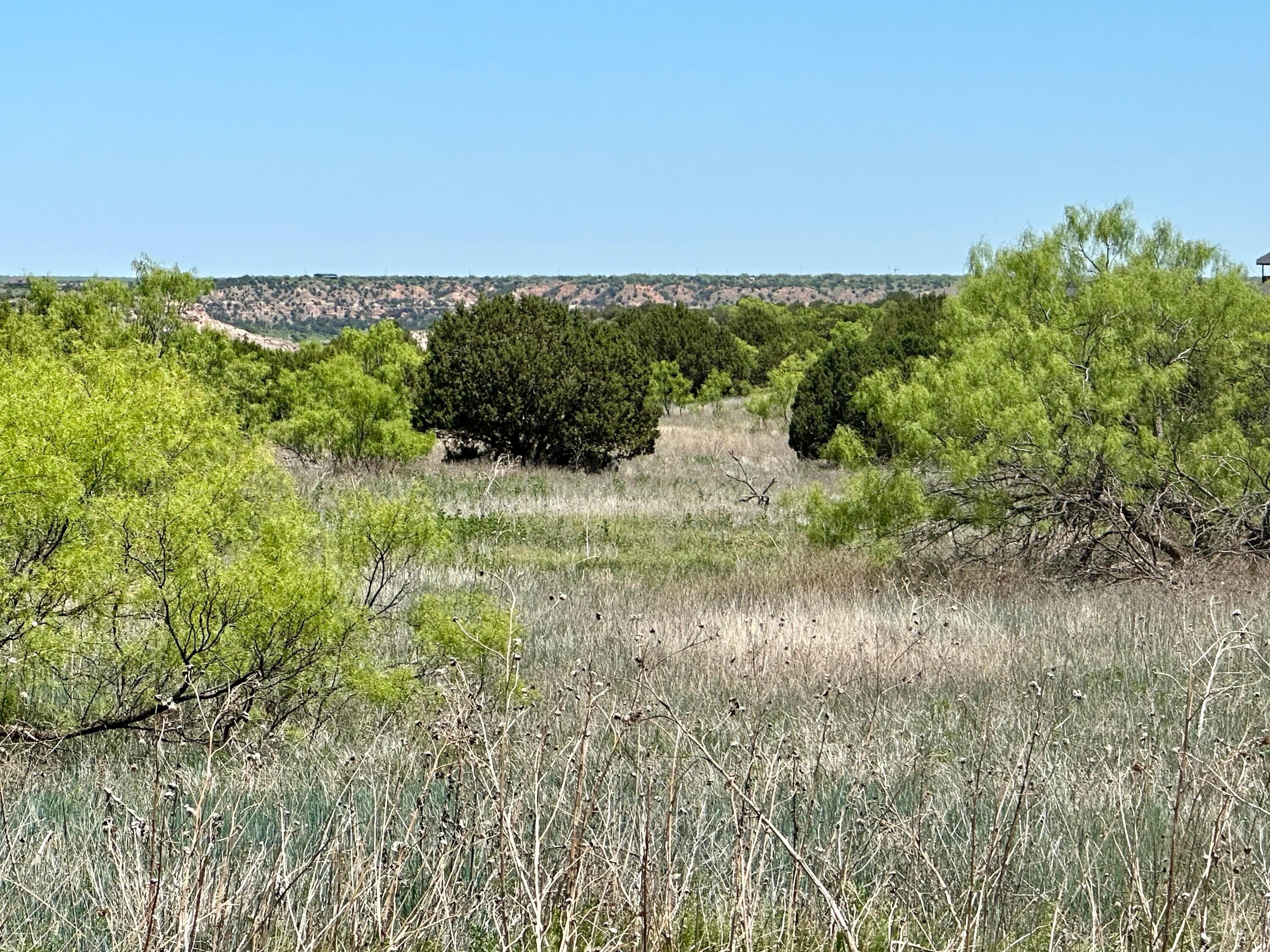 710 Canyon Parkway, Canyon, Texas image 1
