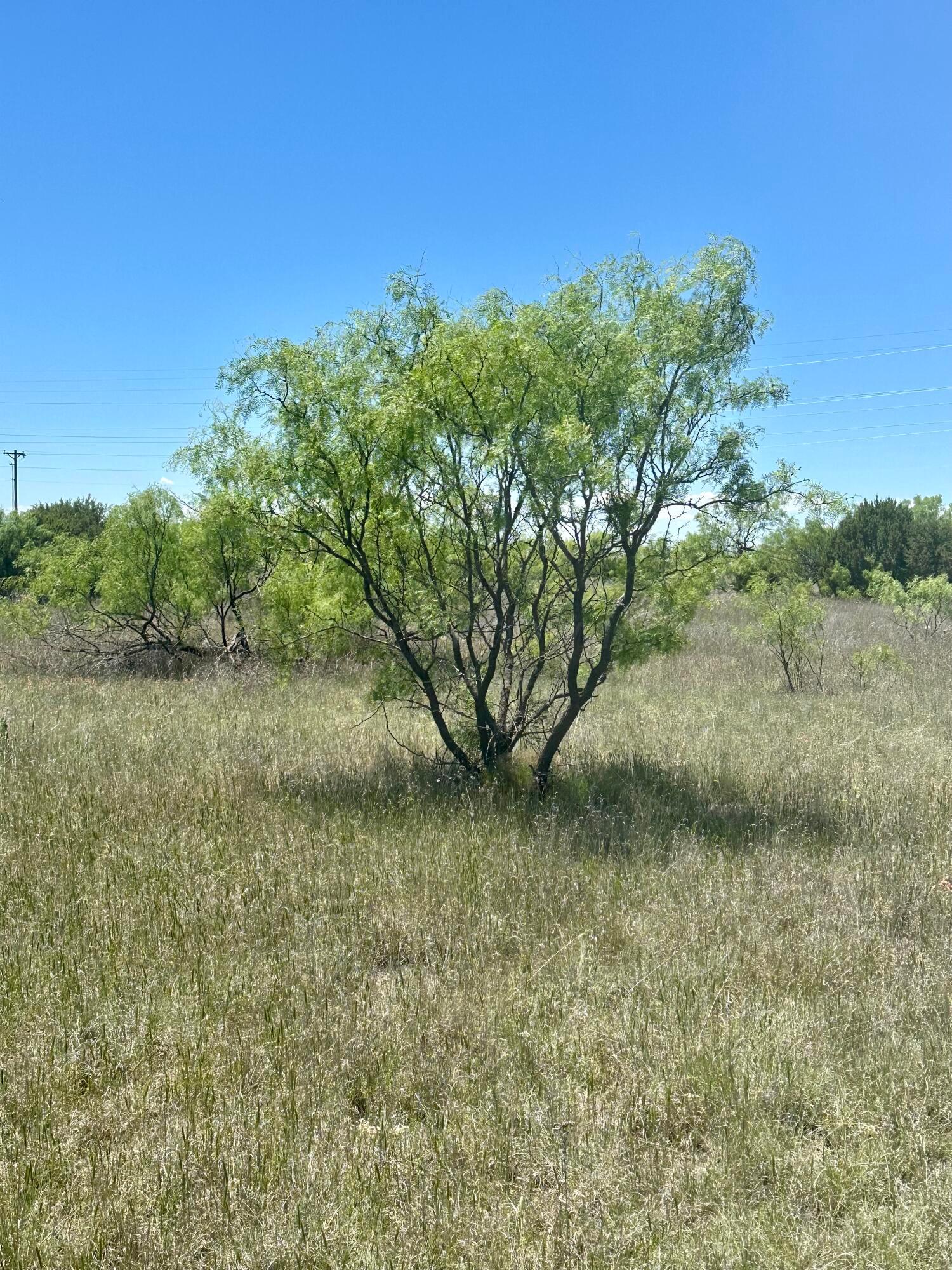 710 Canyon Parkway, Canyon, Texas image 3