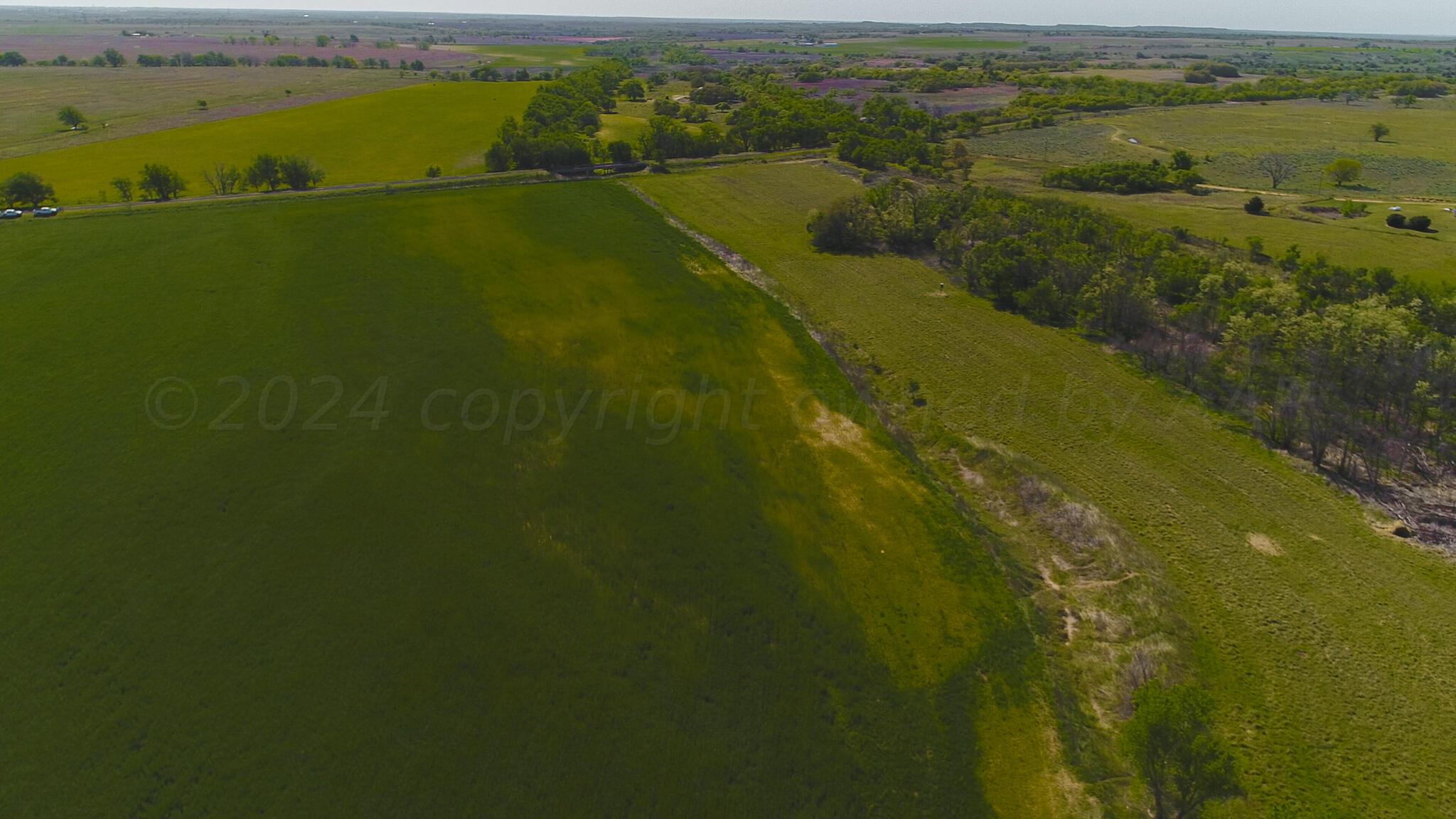 Long Dry Creek Hunting, Shamrock, Texas image 7