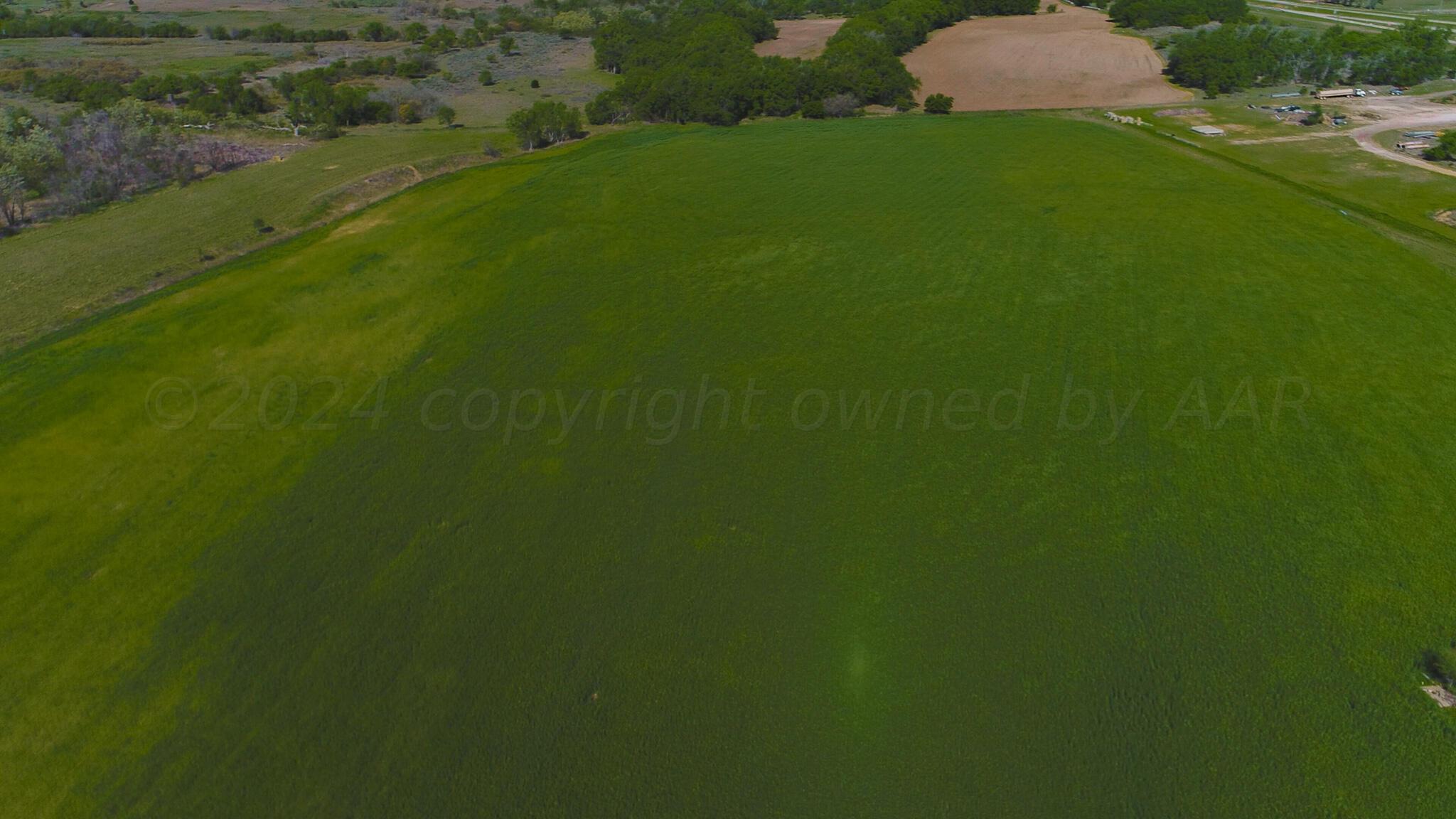 Long Dry Creek Hunting, Shamrock, Texas image 9