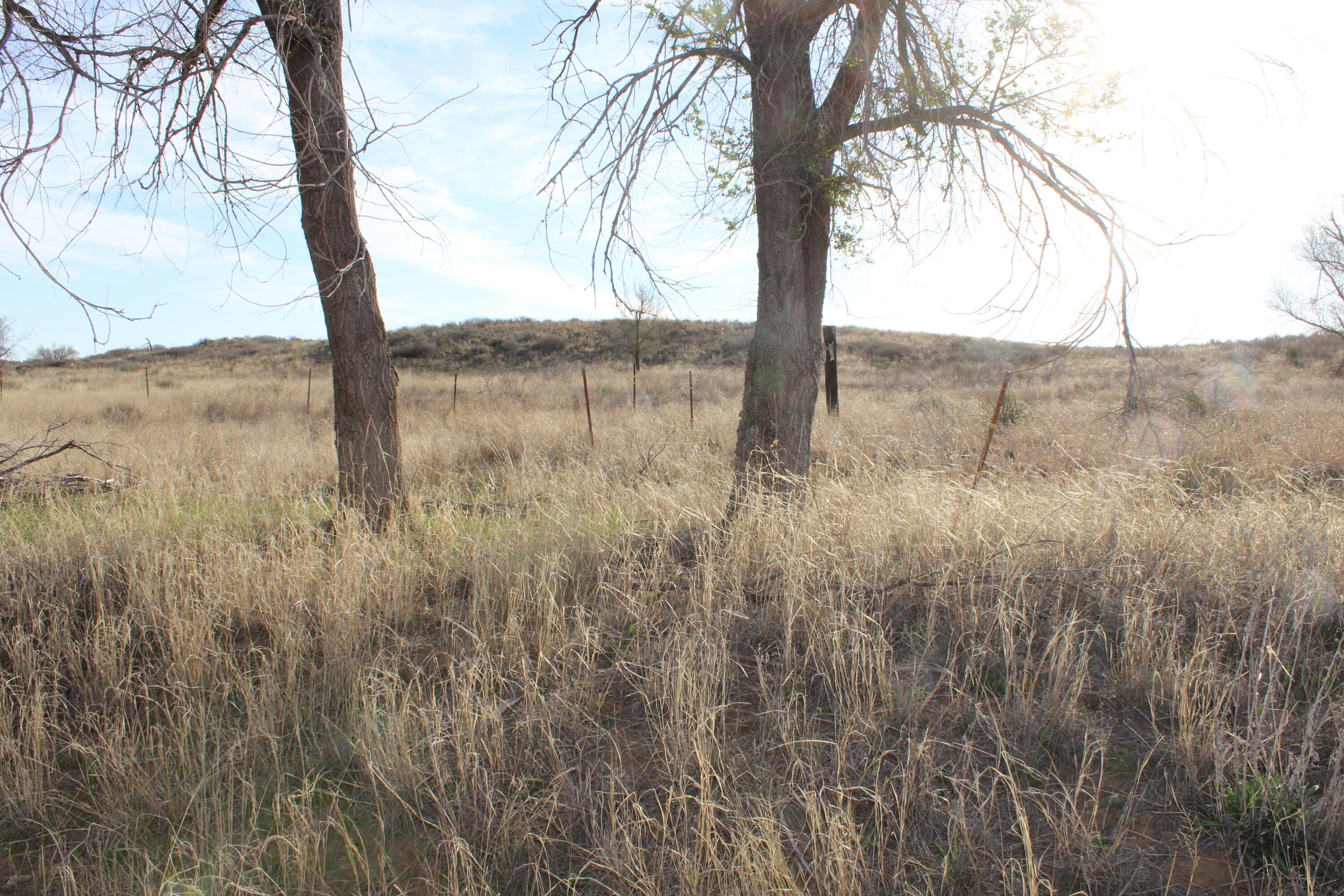 Hwy 287, Hedley, Texas image 42