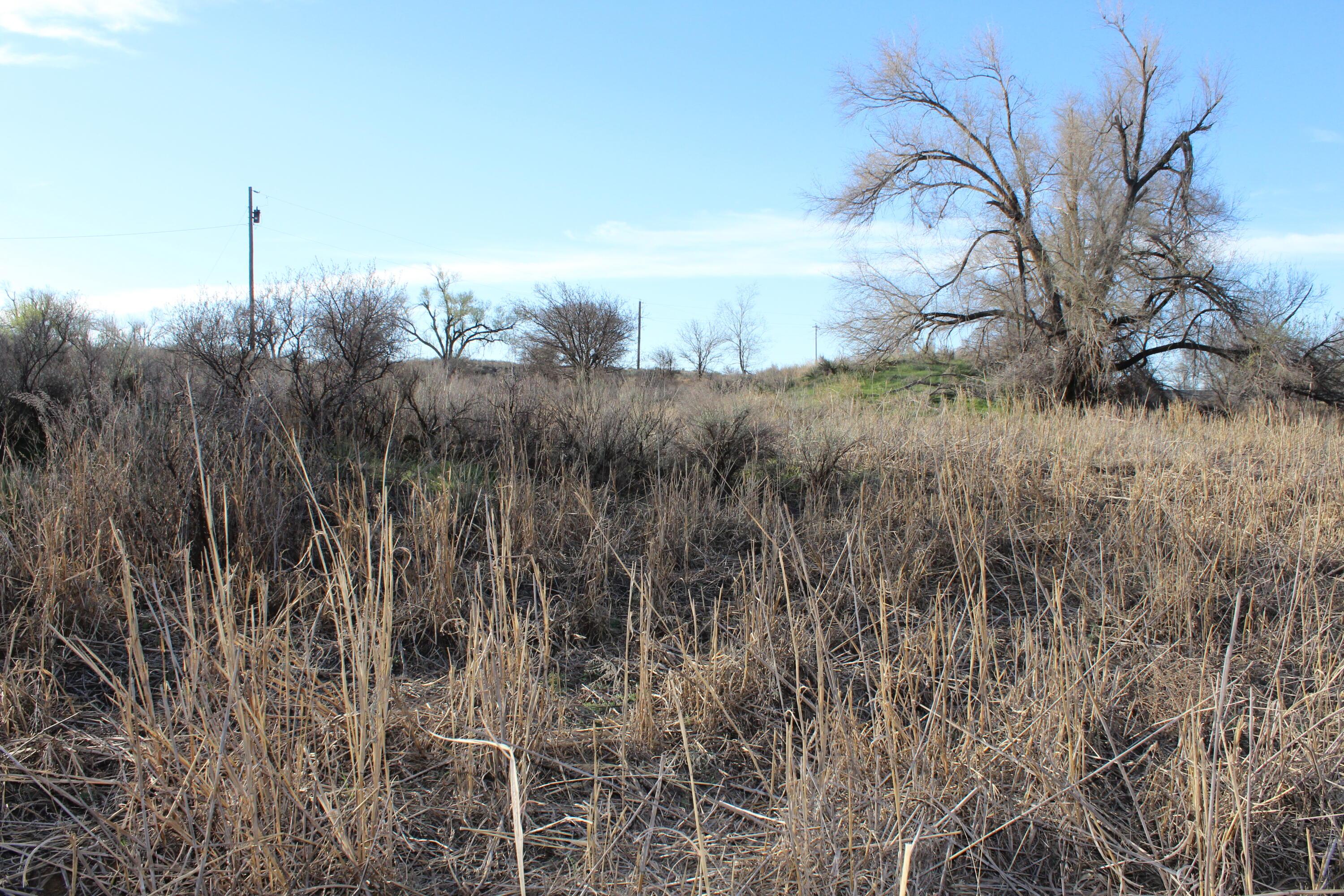 Hwy 287, Hedley, Texas image 13