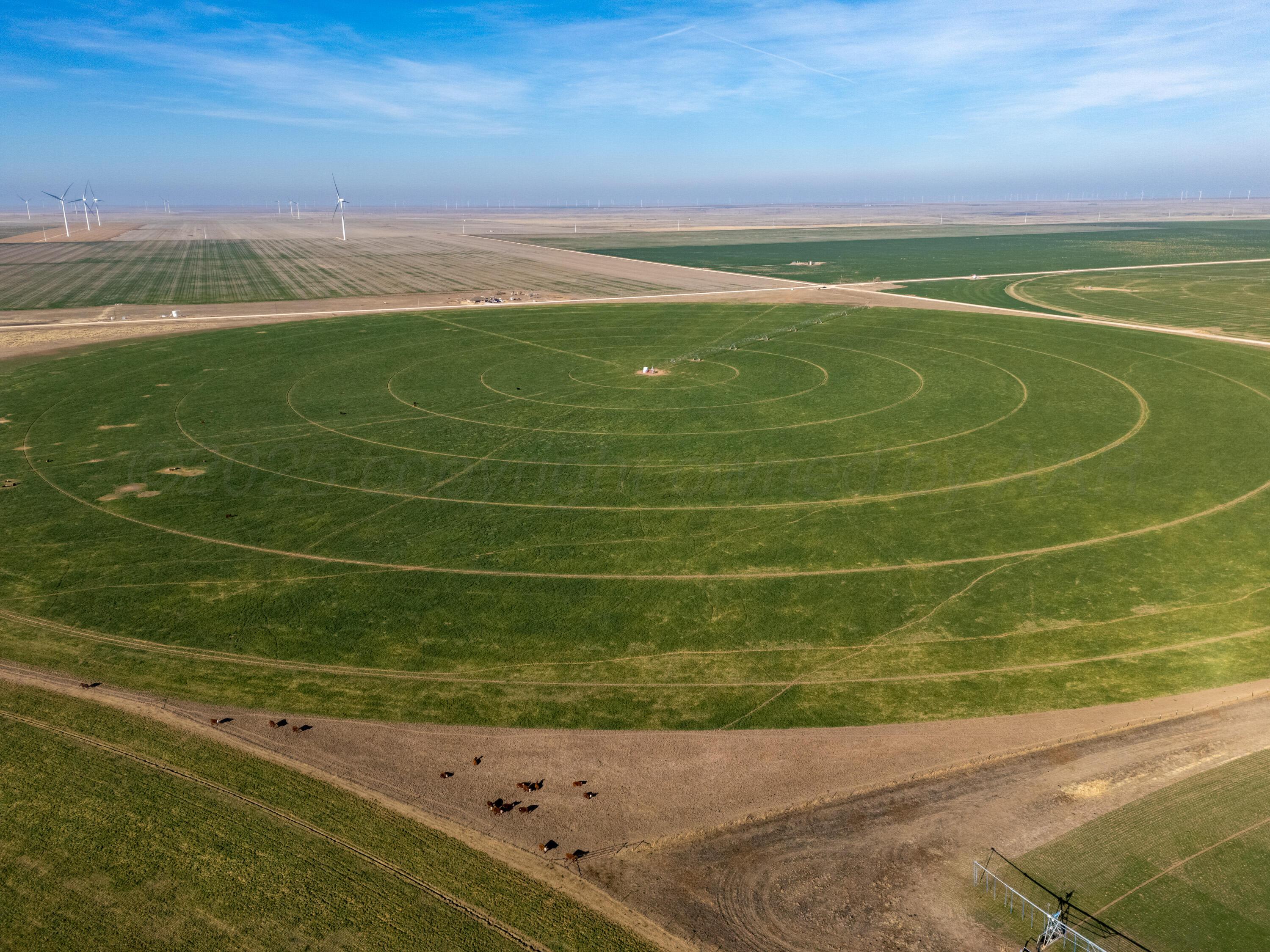 Hwy 136 Fm2535, Gruver, Texas image 9