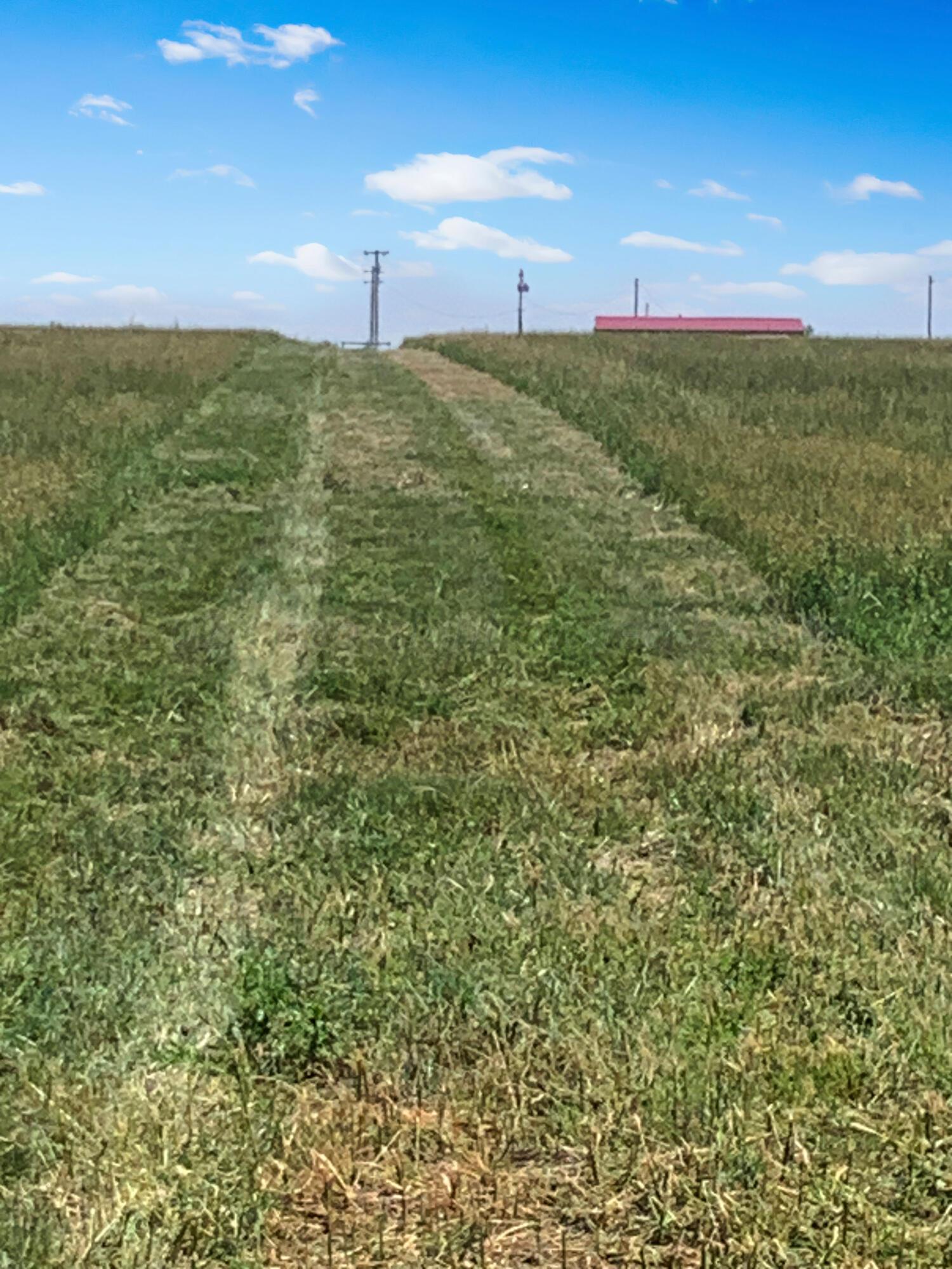 Co Rd 29, Wildorado, Texas image 10